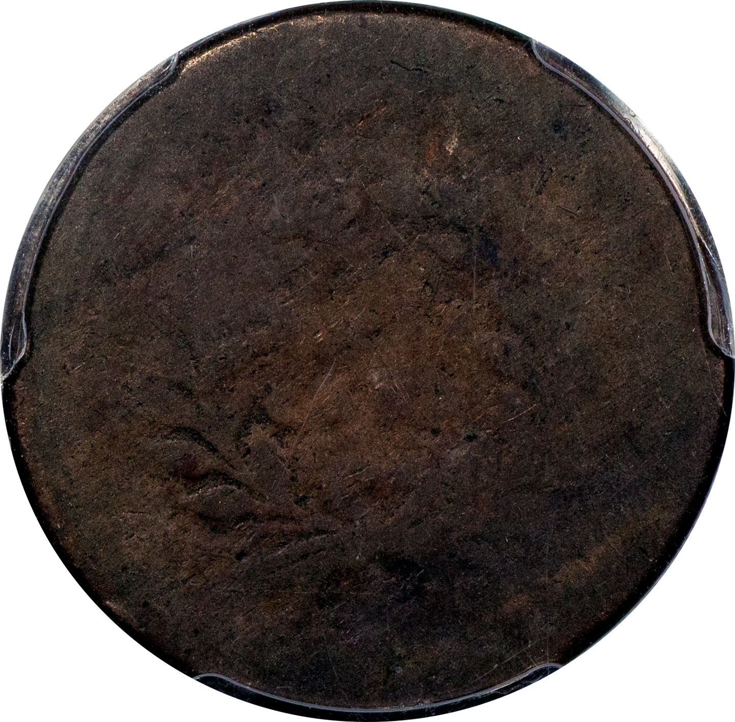 1793 1/2C P01 PCGS REVERSE