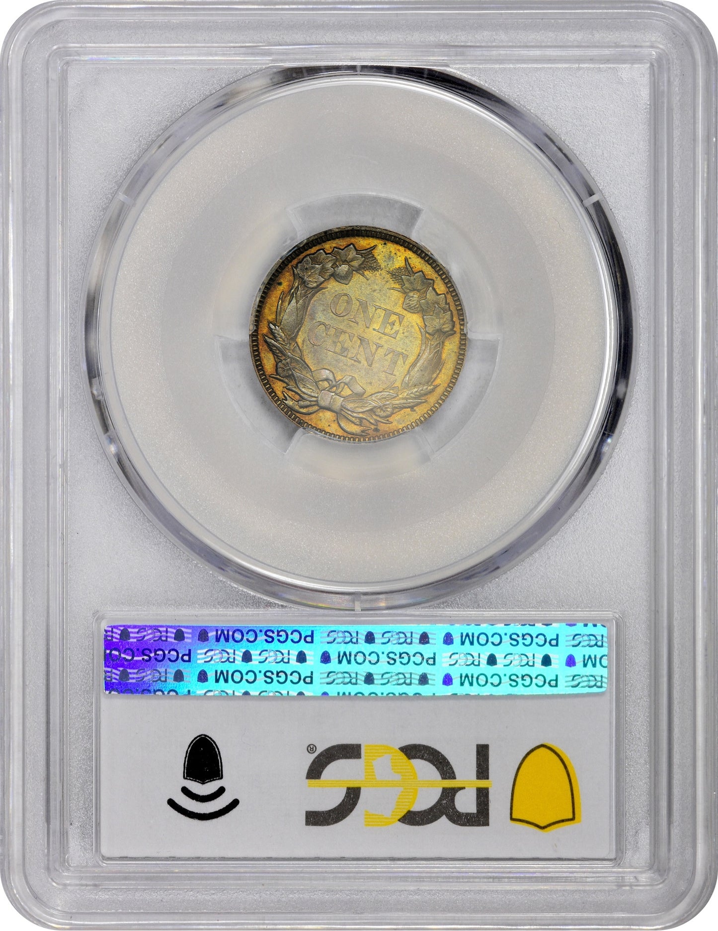 1856 1C FLYING EAGLE S-2 PR64 PCGS CAC EEPS