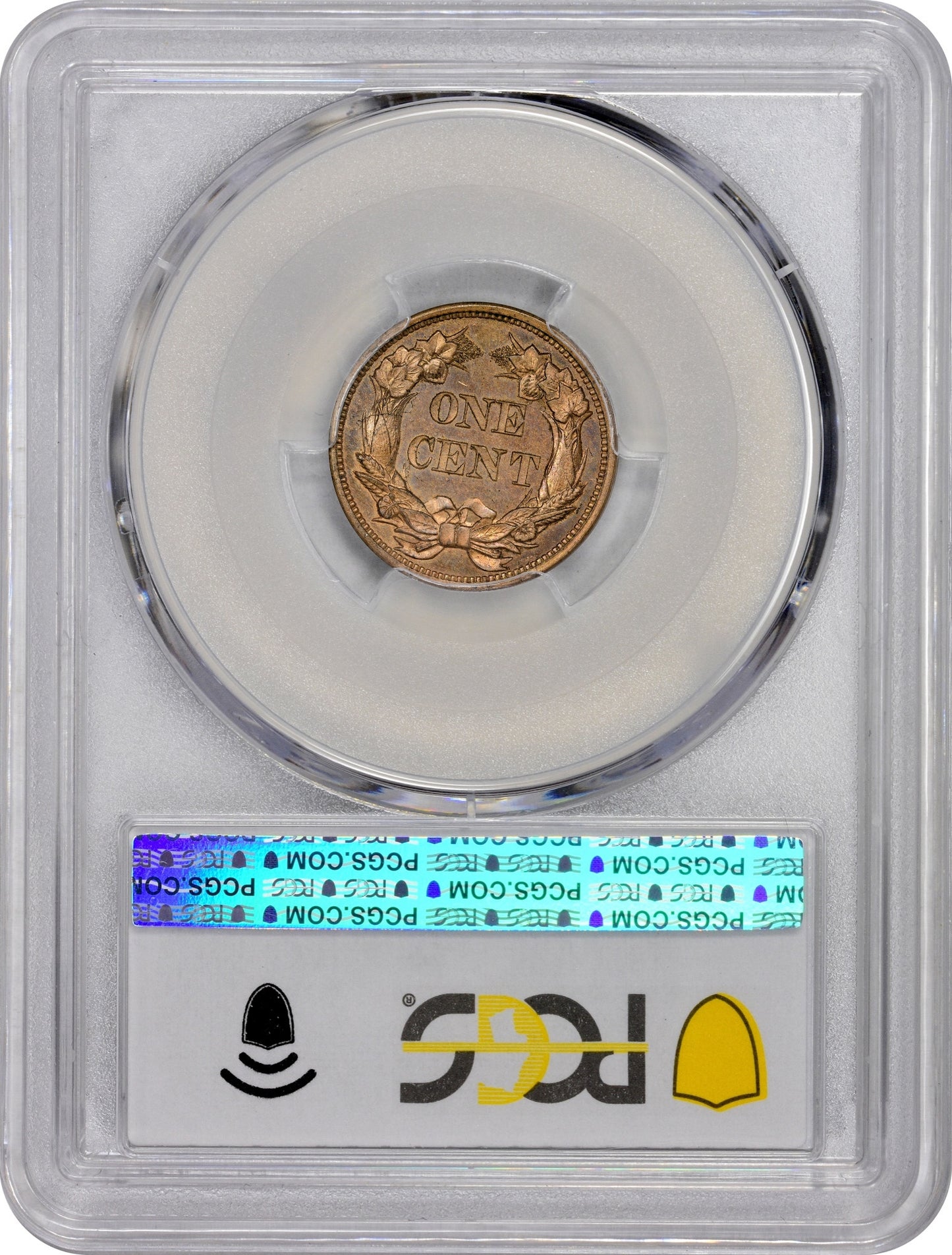 1856 1C FLYING EAGLE S-5 PR65 PCGS CAC EEPS