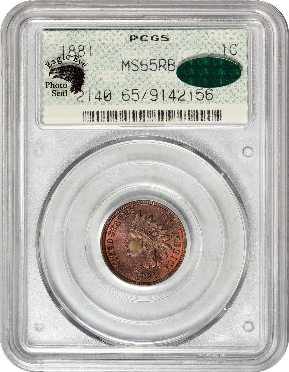 1881 1C MS65 RB DOILY OGH PCGS CAC EEPS - Paradime Coins | PCGS NGC CACG CAC Rare US Numismatic Coins For Sale