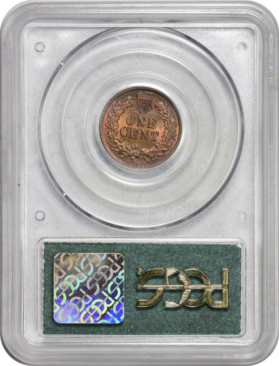 1881 1C MS65 RB DOILY OGH PCGS CAC EEPS - Paradime Coins | PCGS NGC CACG CAC Rare US Numismatic Coins For Sale