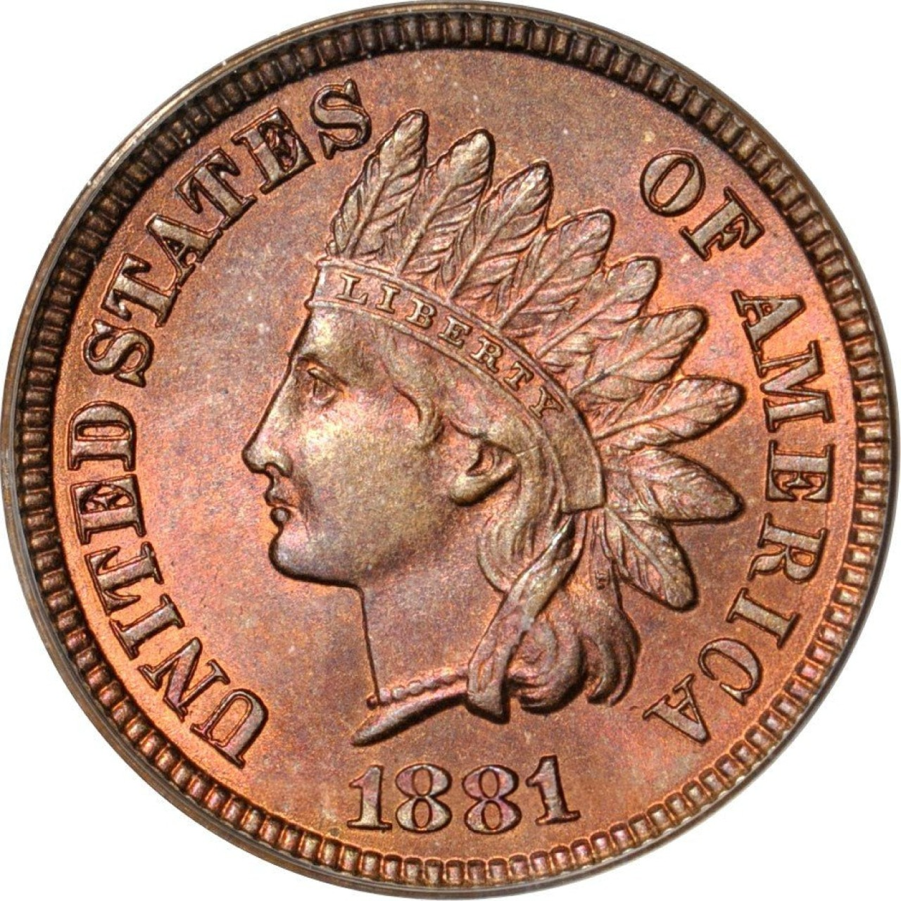 1881 1C MS65 RB DOILY OGH PCGS CAC EEPS - Paradime Coins | PCGS NGC CACG CAC Rare US Numismatic Coins For Sale