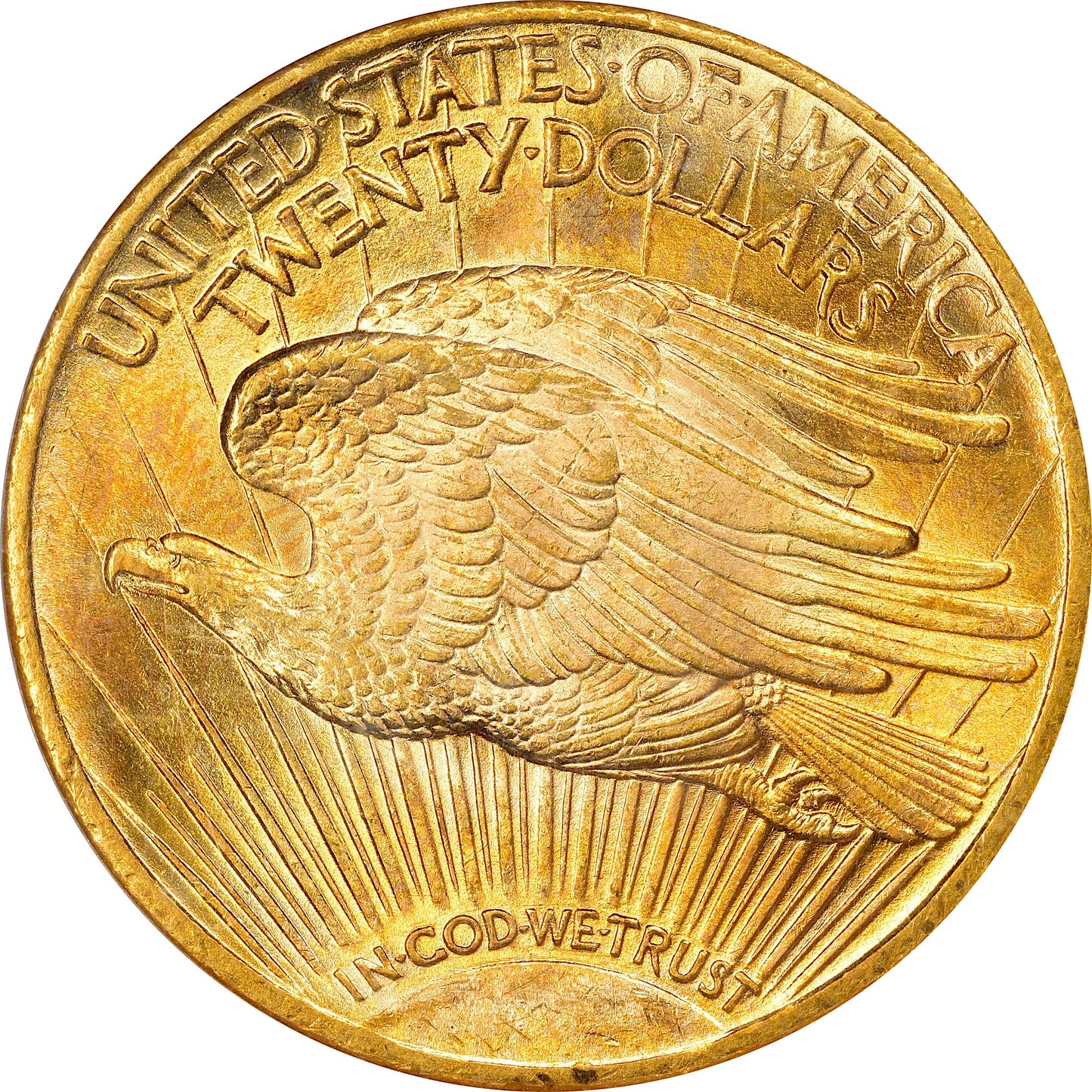 1924 $20 MS64 NGC CAC REVERSE