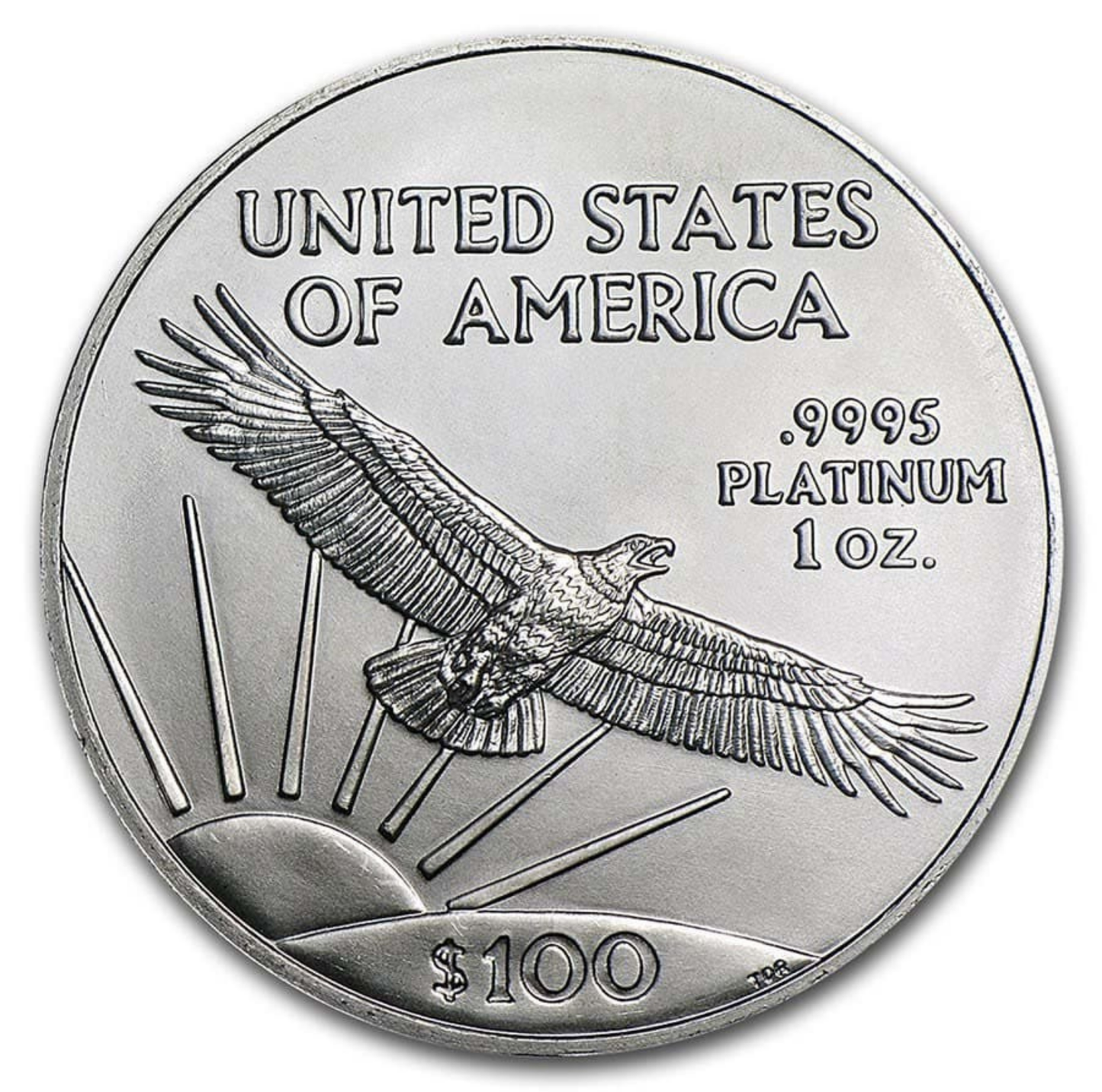 1 oz American Platinum Eagle Coin - Random Year