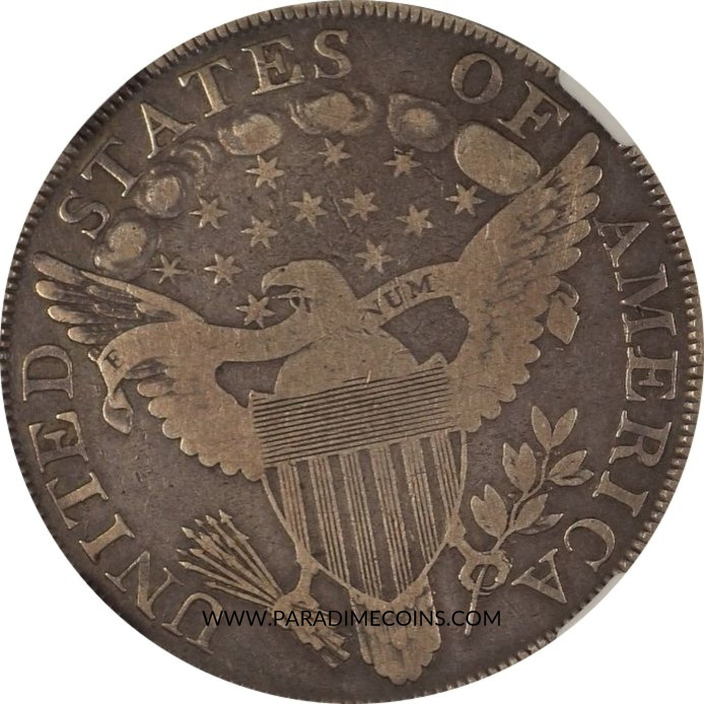 1800 S$1 VG10 NGC CAC - Paradime Coins | PCGS NGC CACG CAC Rare US Numismatic Coins For Sale