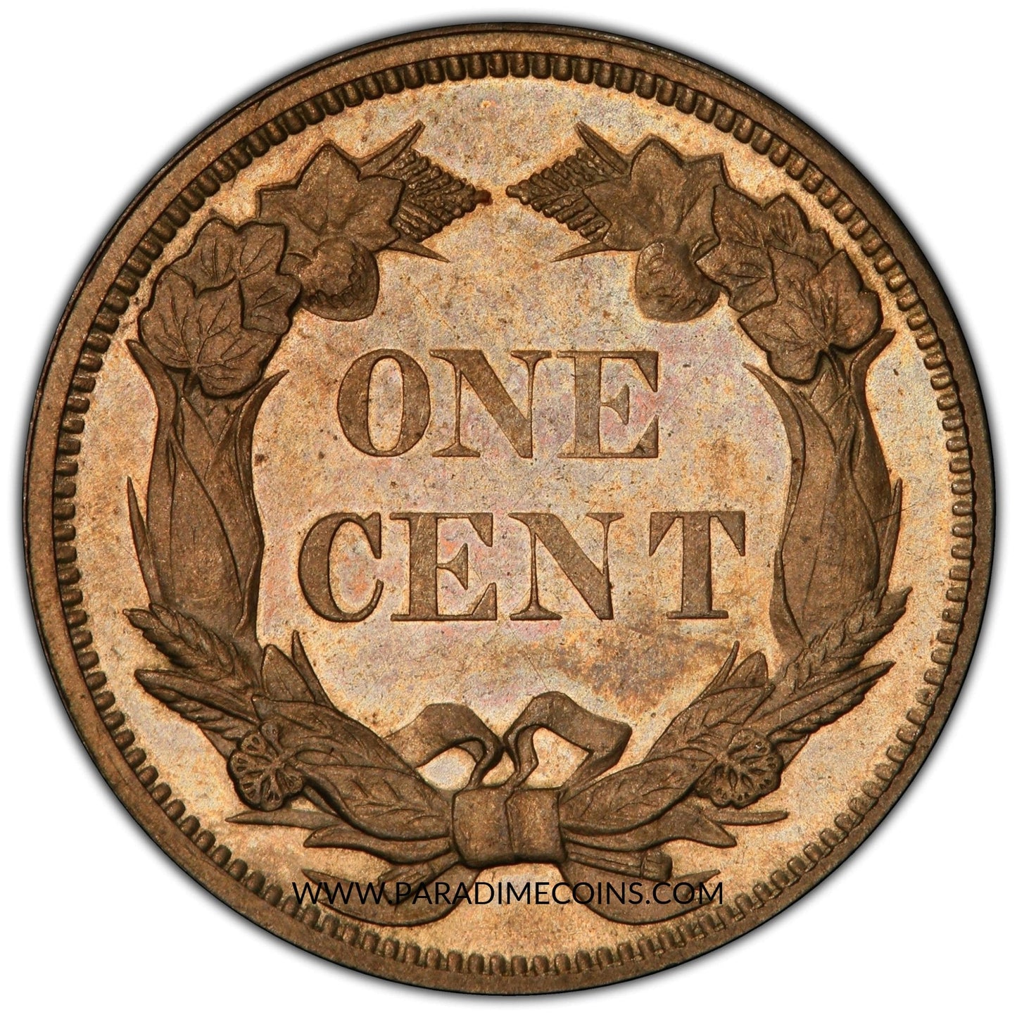 1858 1C PR65 Small Letters PCGS CAC PHOTO SEAL - Paradime Coins | PCGS NGC CACG CAC Rare US Numismatic Coins For Sale