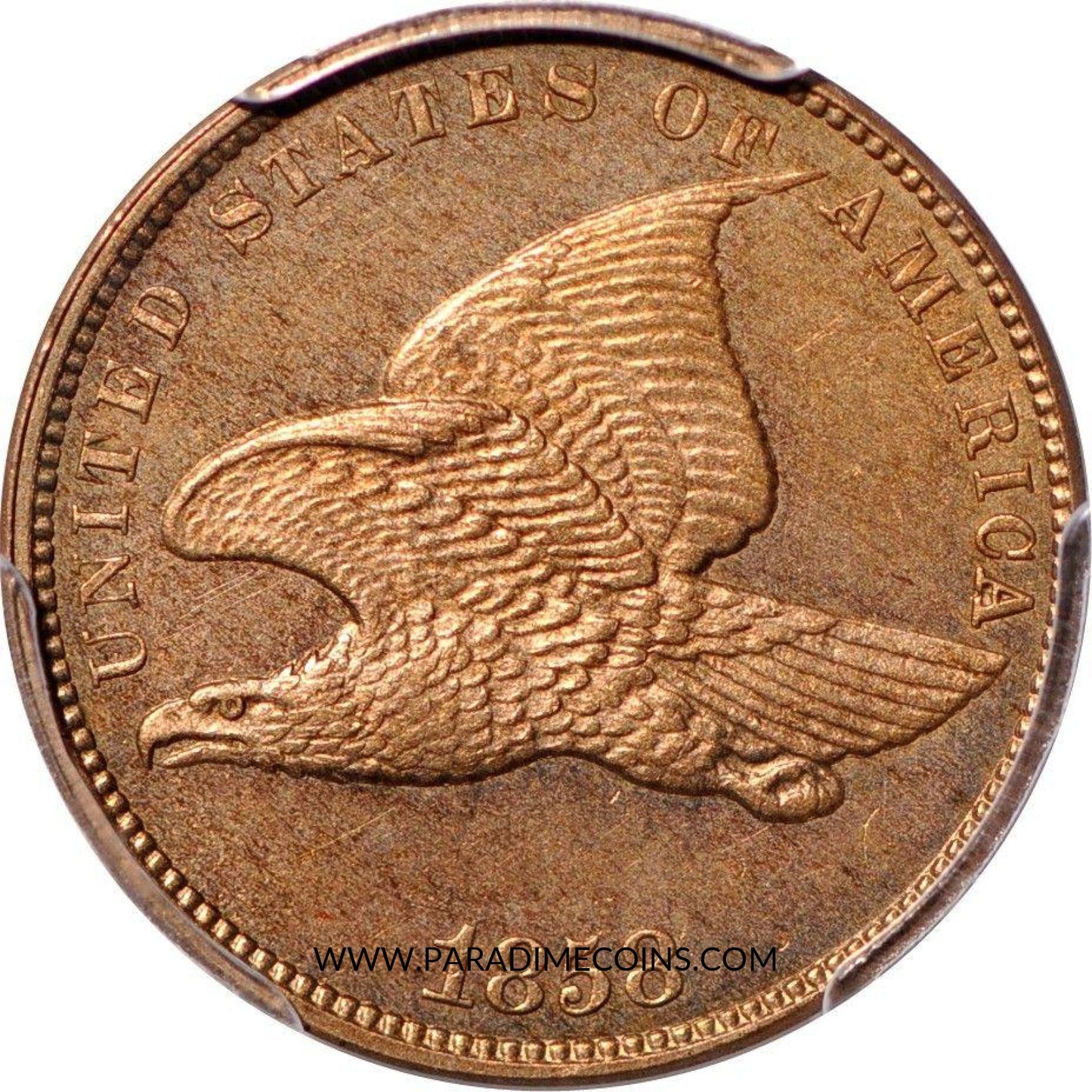 1858 1C PR65 Small Letters PCGS CAC PHOTO SEAL - Paradime Coins | PCGS NGC CACG CAC Rare US Numismatic Coins For Sale