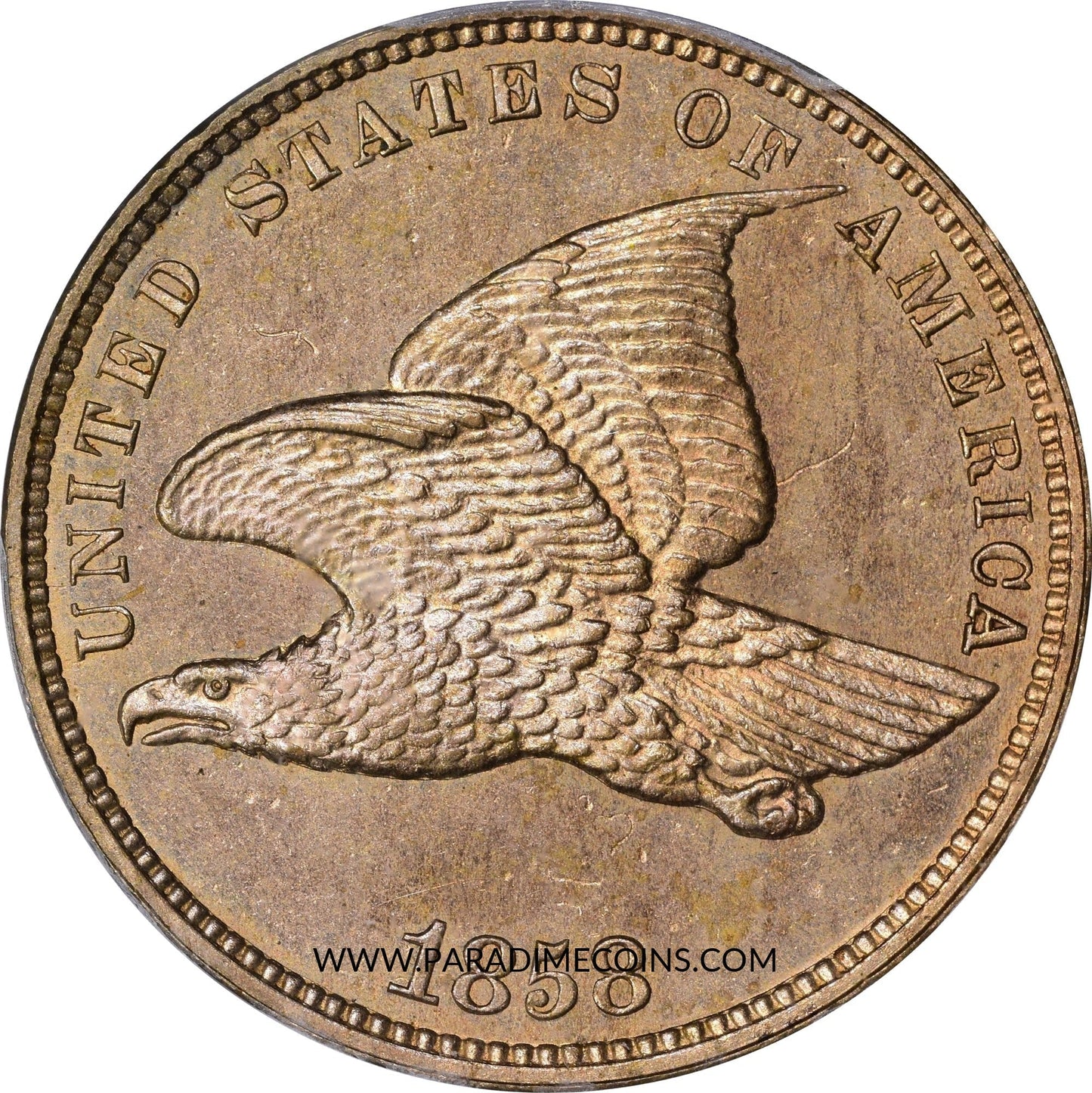 1858 1C SMALL LETTERS PR64 PCGS CAC - Paradime Coins | PCGS NGC CACG CAC Rare US Numismatic Coins For Sale