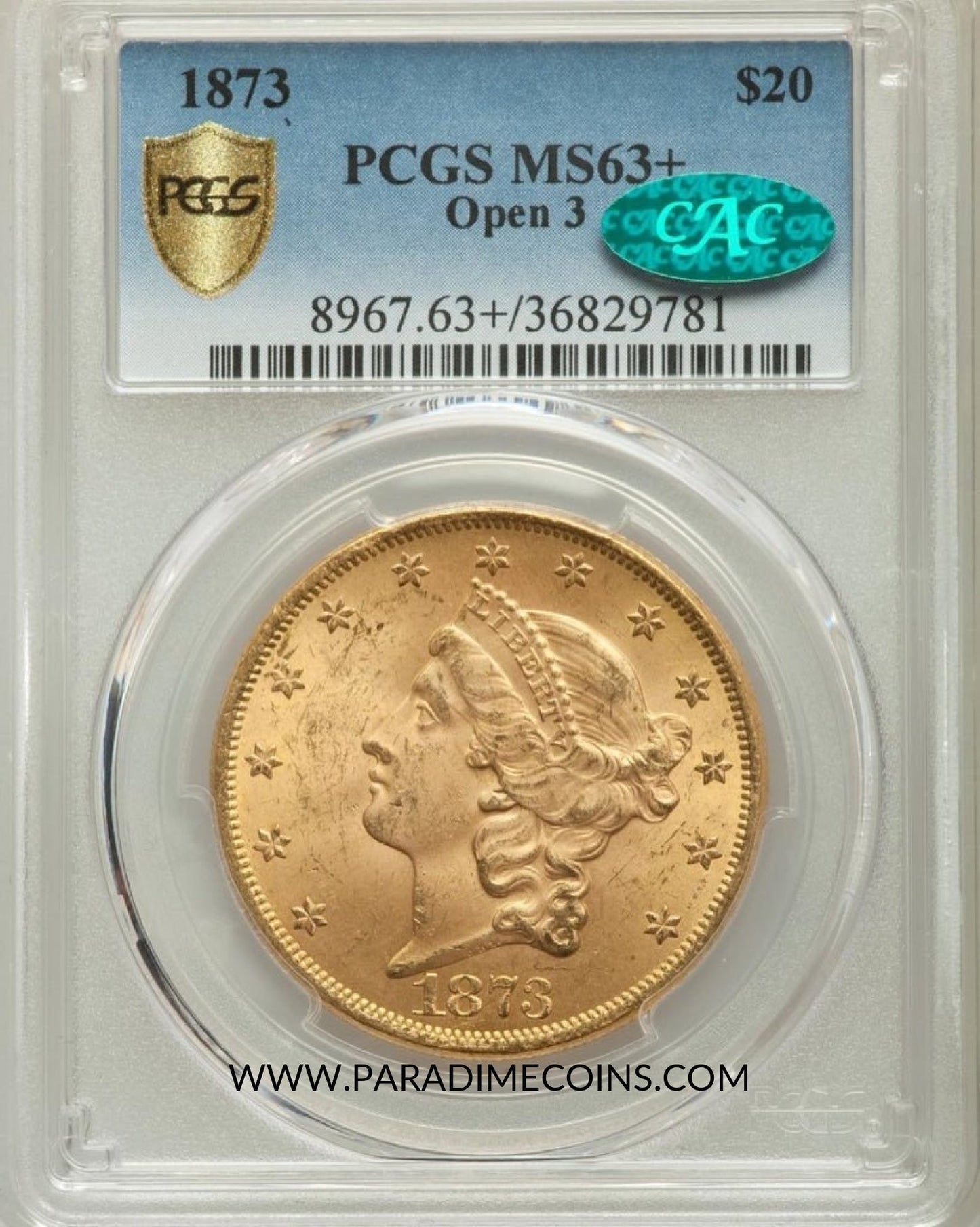 1873 $20 MS63+ PCGS CAC - Paradime Coins | PCGS NGC CACG CAC Rare US Numismatic Coins For Sale