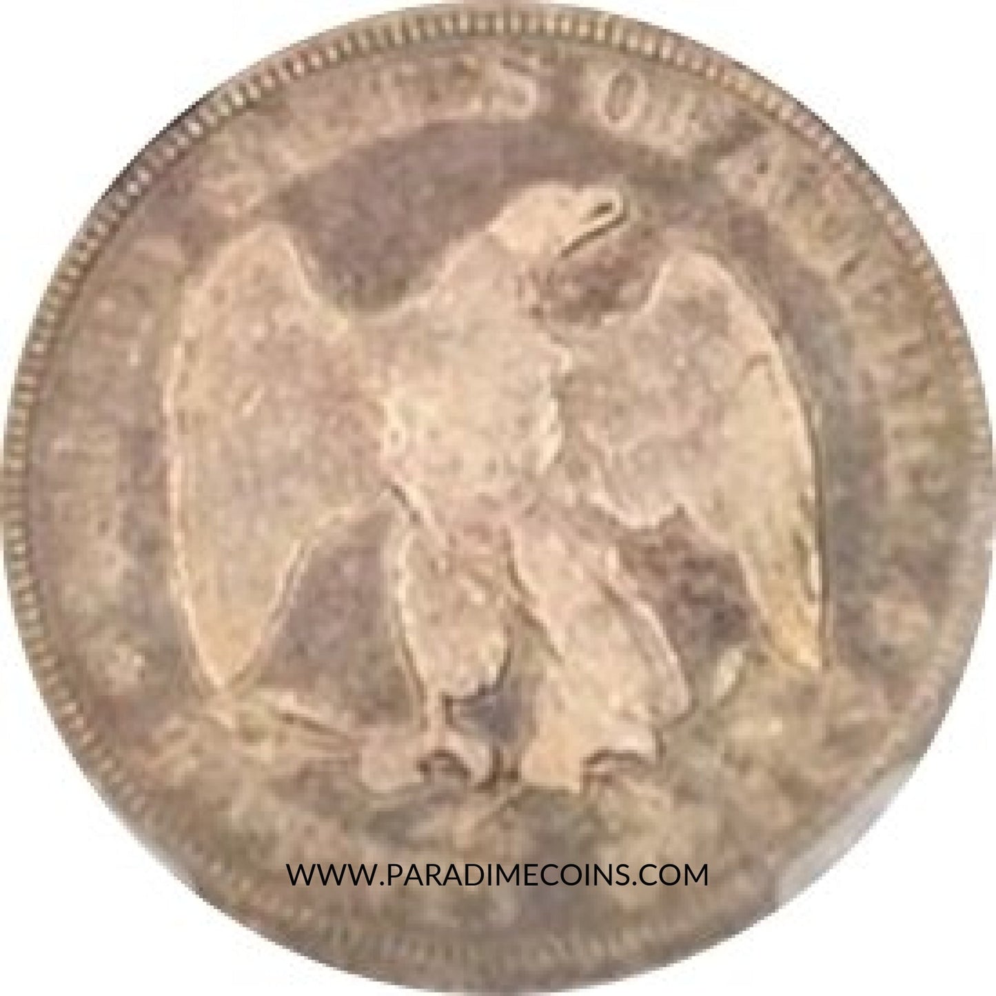 1875-S 20C F15 NGC - Paradime Coins | PCGS NGC CACG CAC Rare US Numismatic Coins For Sale