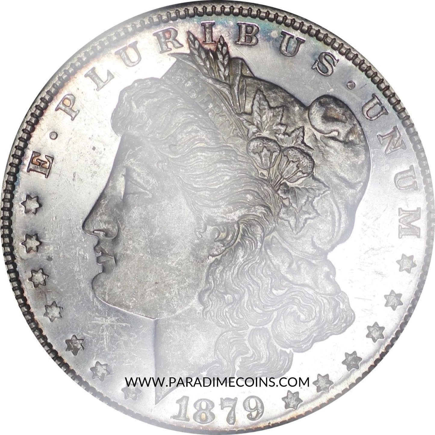 1879 $1 MS64DMPL PCGS CAC - Paradime Coins | PCGS NGC CACG CAC Rare US Numismatic Coins For Sale