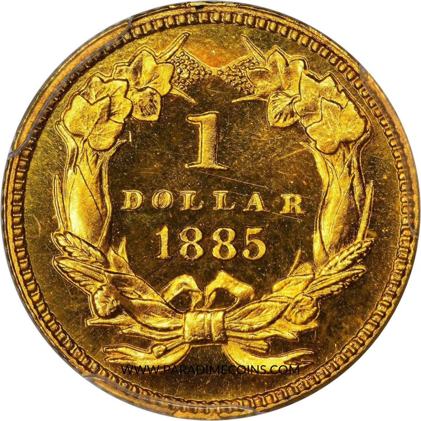 1885 G$1 PR66 DCAM PCGS CAC - Paradime Coins | PCGS NGC CACG CAC Rare US Numismatic Coins For Sale