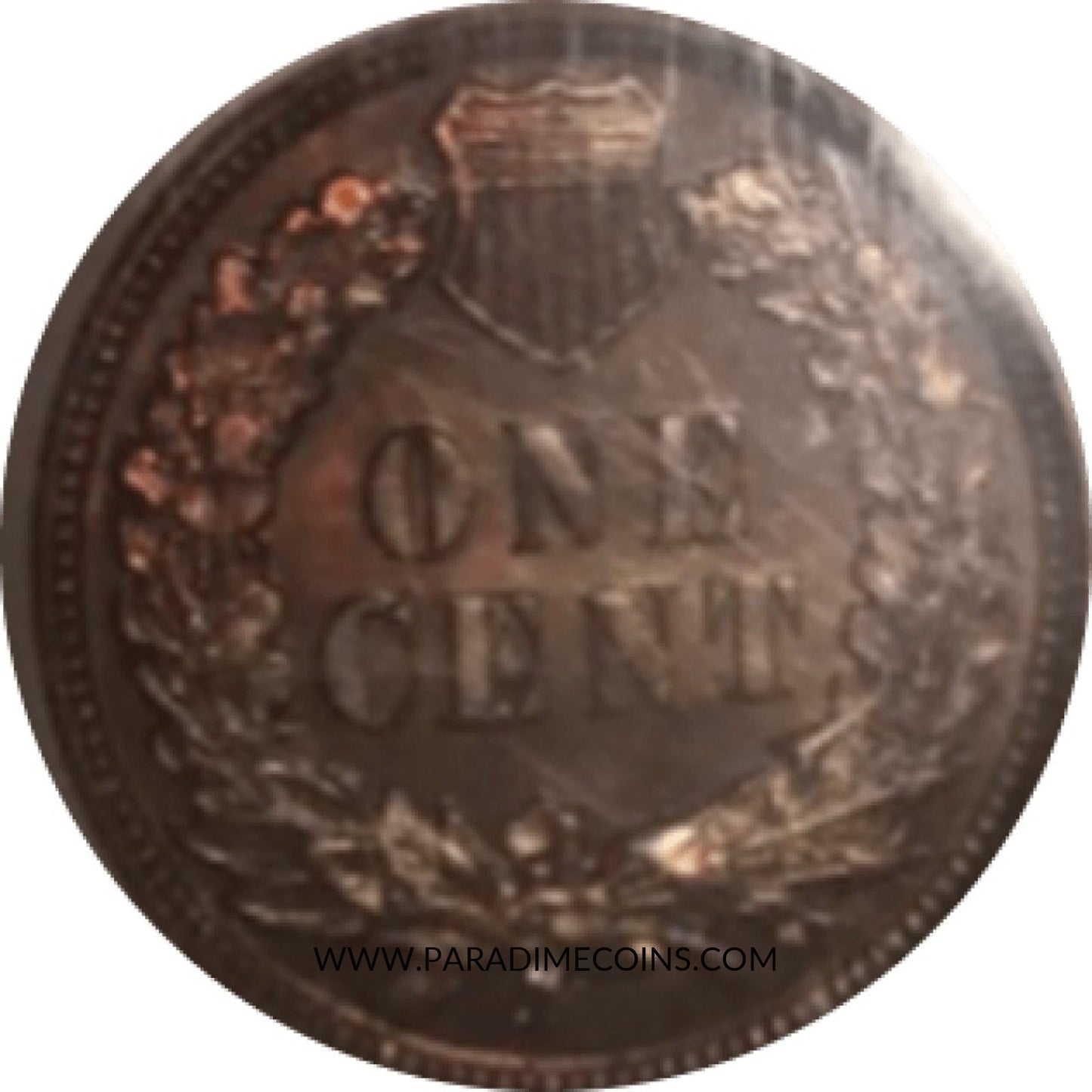 1900 1C PR66RB PCGS CAC - Paradime Coins | PCGS NGC CACG CAC Rare US Numismatic Coins For Sale