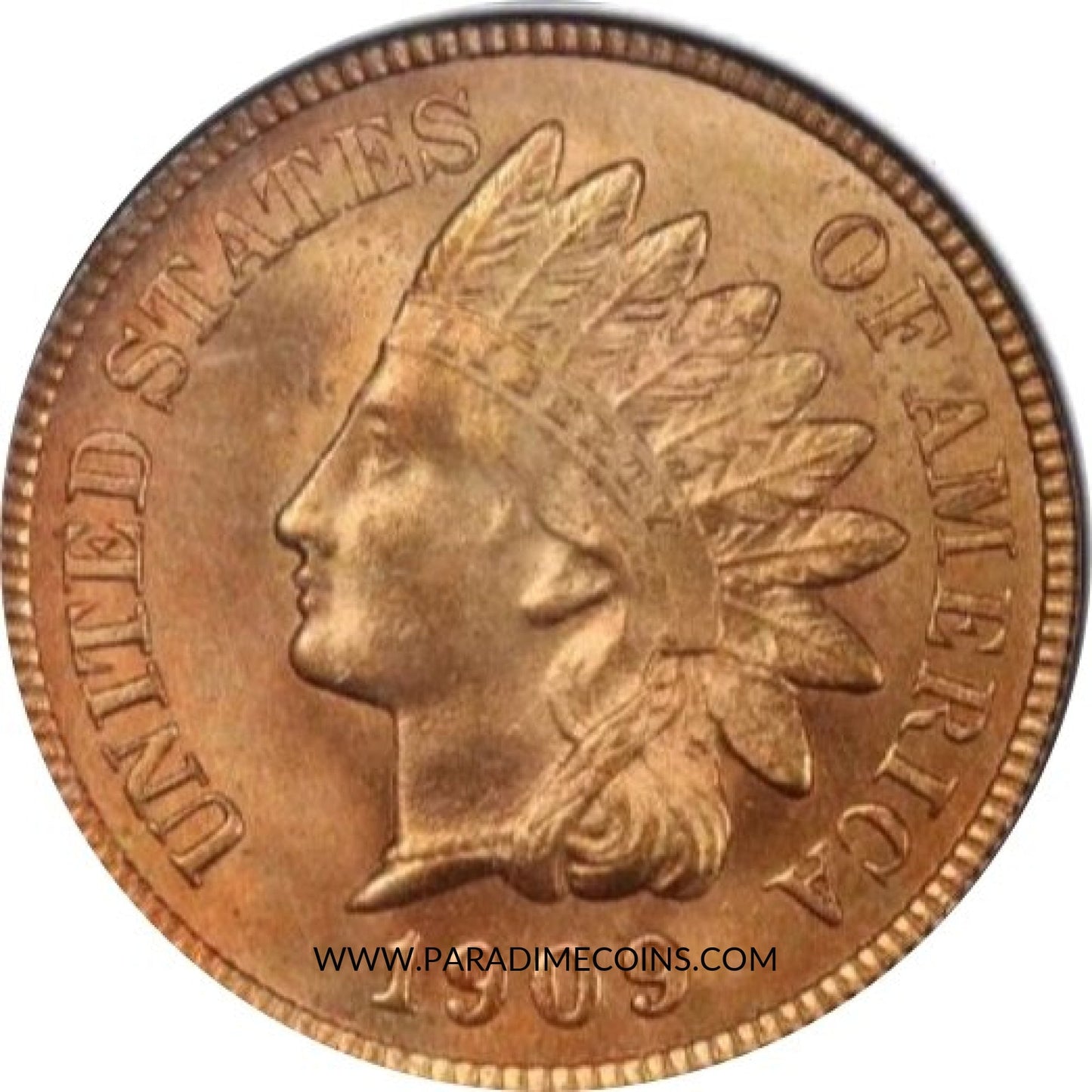 1909 1C MS66 RED PCGS CAC - Paradime Coins | PCGS NGC CACG CAC Rare US Numismatic Coins For Sale