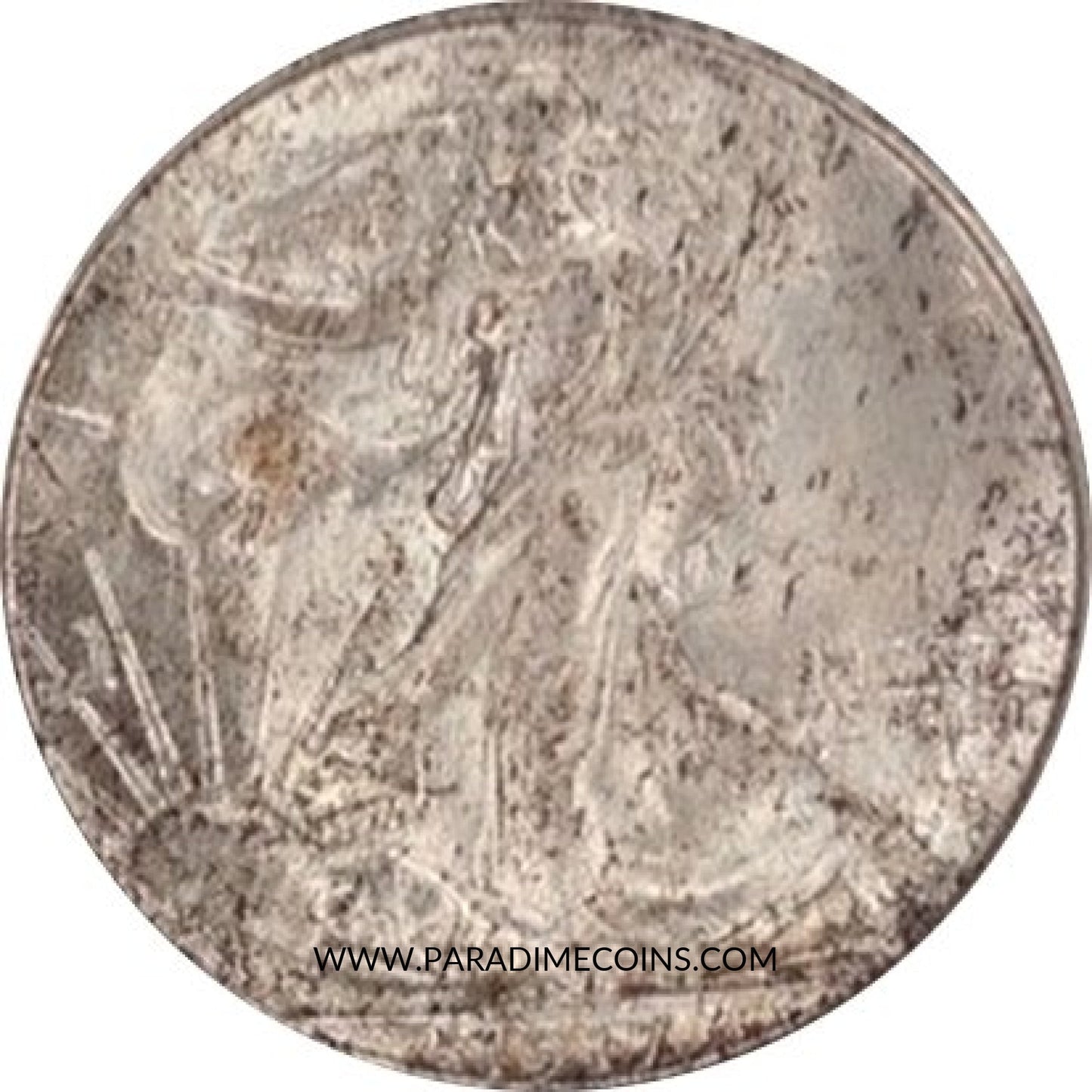 1917-S REVERSE 50C MS64+ NGC CAC - Paradime Coins | PCGS NGC CACG CAC Rare US Numismatic Coins For Sale
