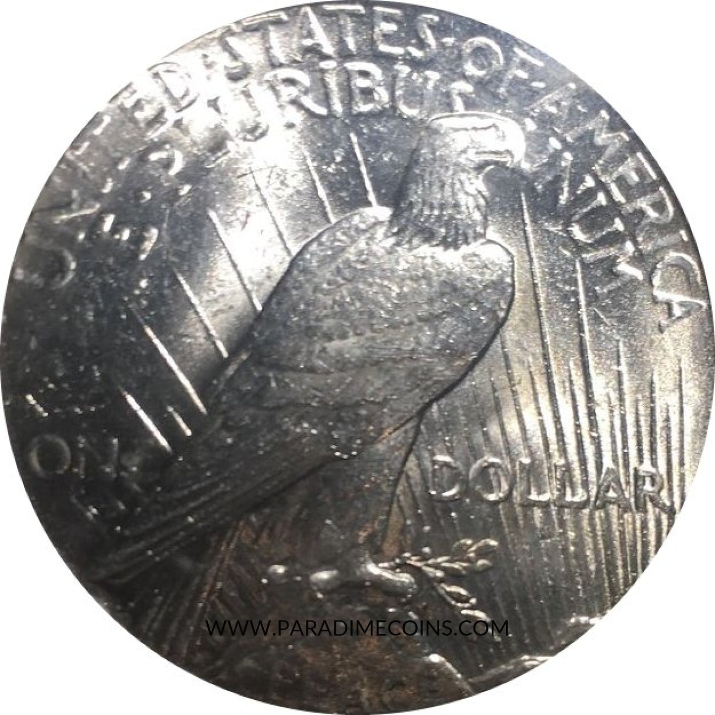 1924 $1 MS63 PCGS - Paradime Coins | PCGS NGC CACG CAC Rare US Numismatic Coins For Sale