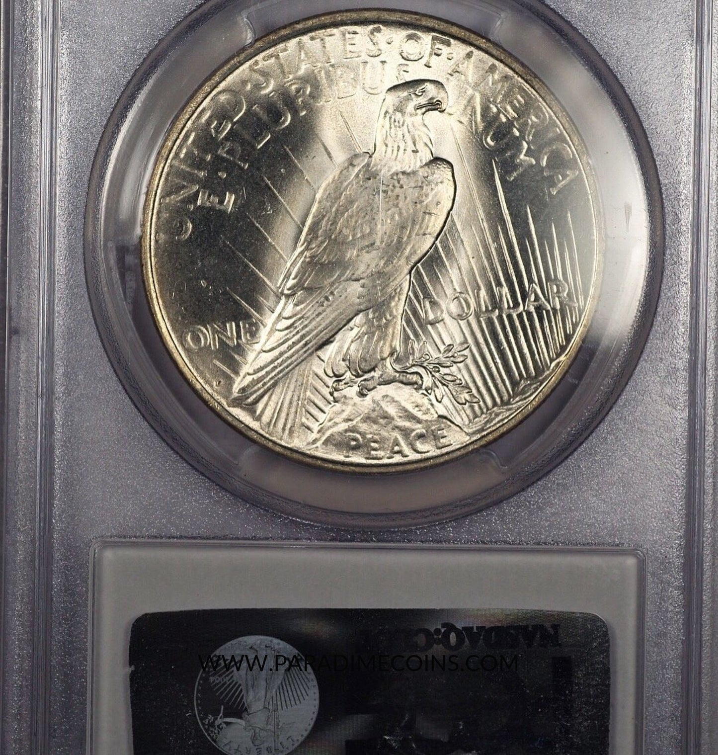 1927-D $1 MS64+ PCGS - Paradime Coins | PCGS NGC CACG CAC Rare US Numismatic Coins For Sale