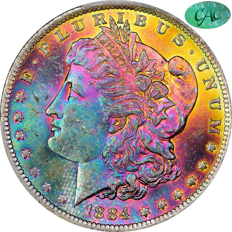 Toned Morgan Silver Dollars