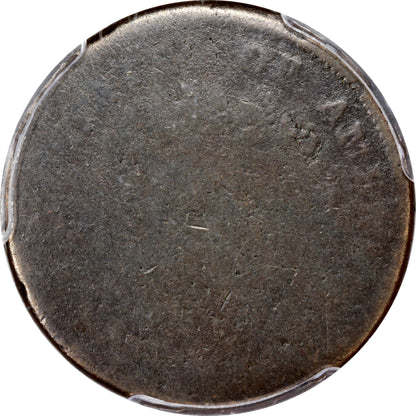 1793 1/2C P01 PCGS CAC REVERSE ZOOM IN