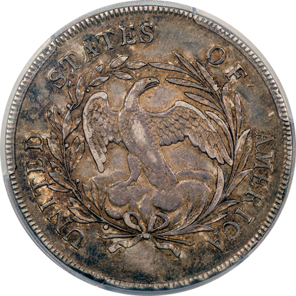1795 $1 Draped Bust Dollar CENTERED XF45 PCGS CAC Reverse