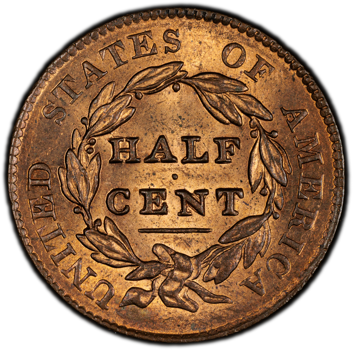 1828 1/2C 13 STARS Classic Head Half Cent MS63 RB PCGS reverse