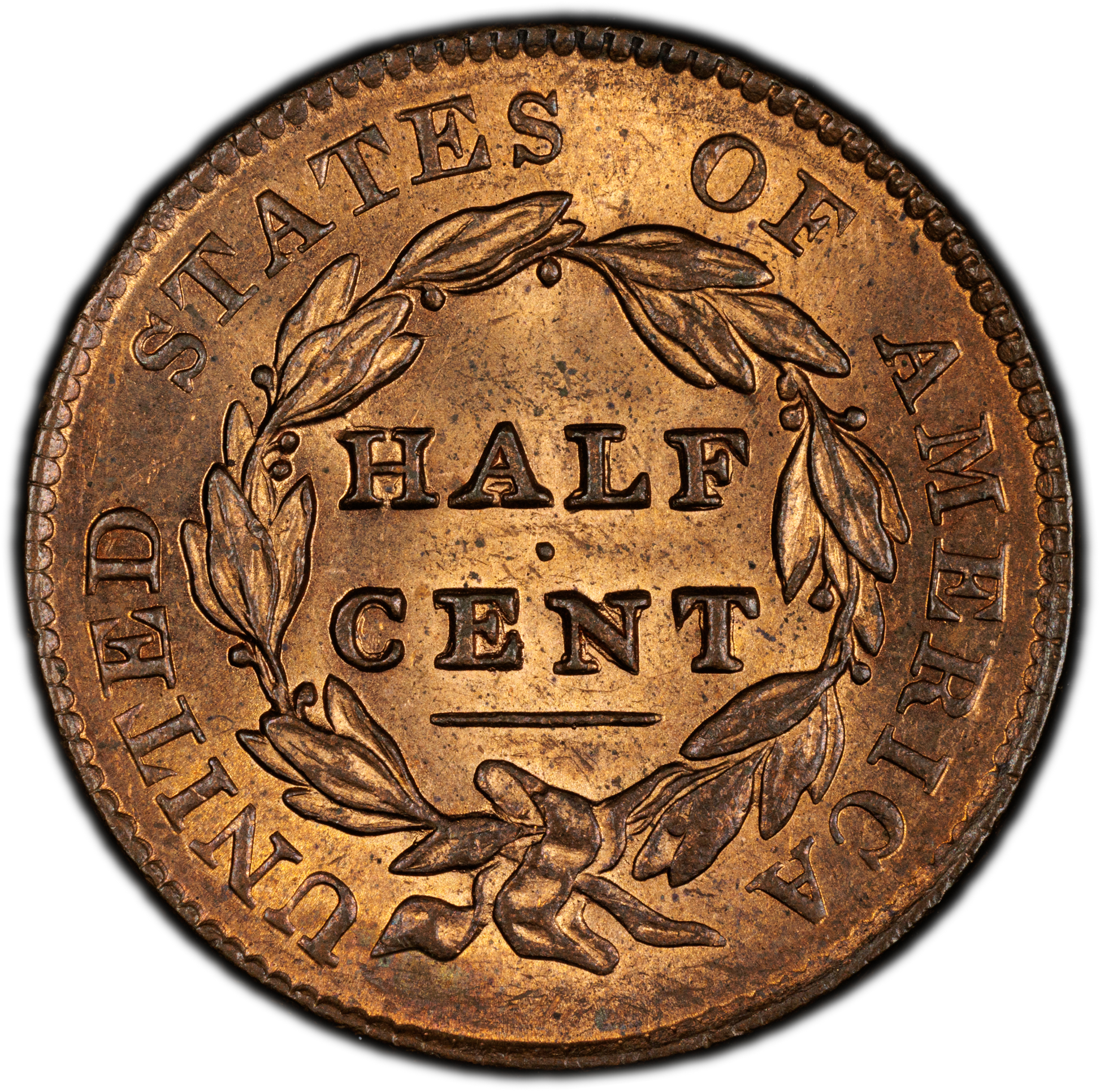 1828 1/2C 13 STARS Classic Head Half Cent MS63 RB PCGS reverse