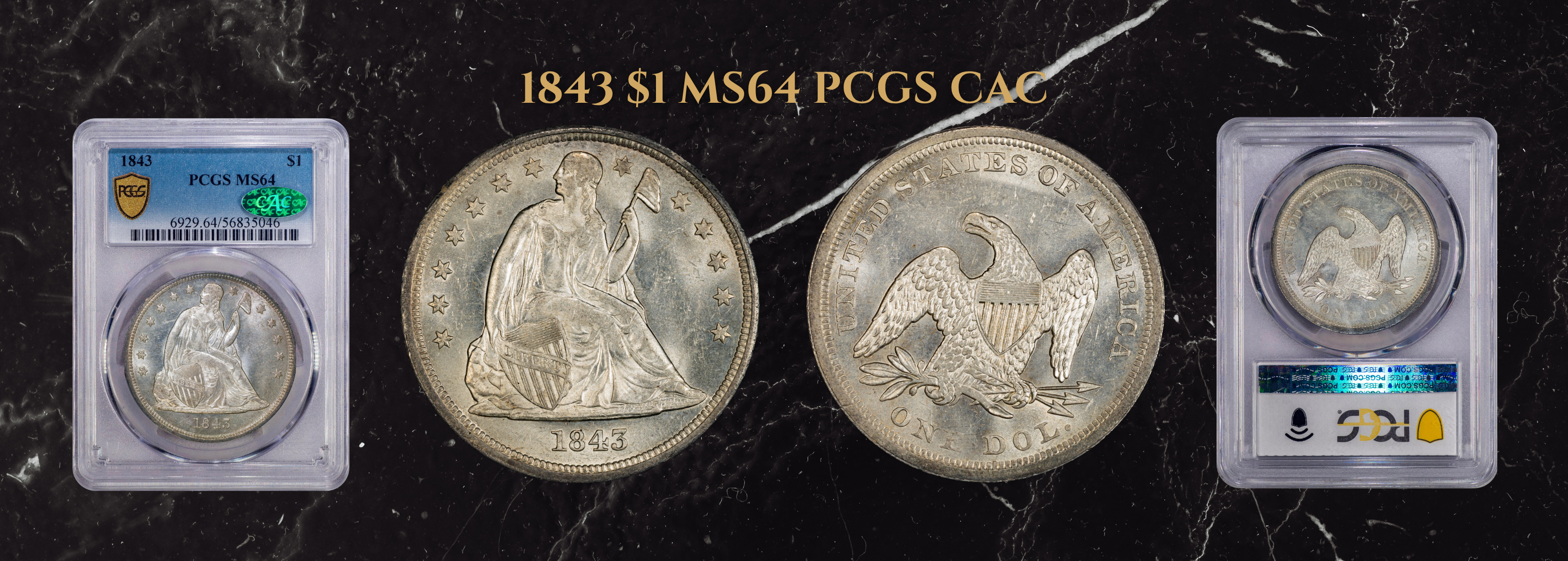 Paradime Coins — coin shop photo