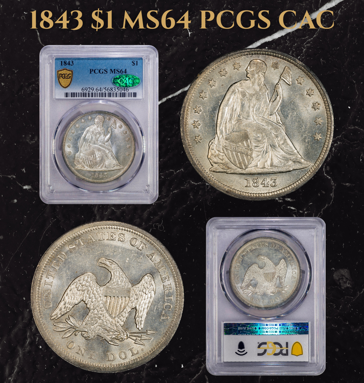 Paradime Coins — coin shop photo
