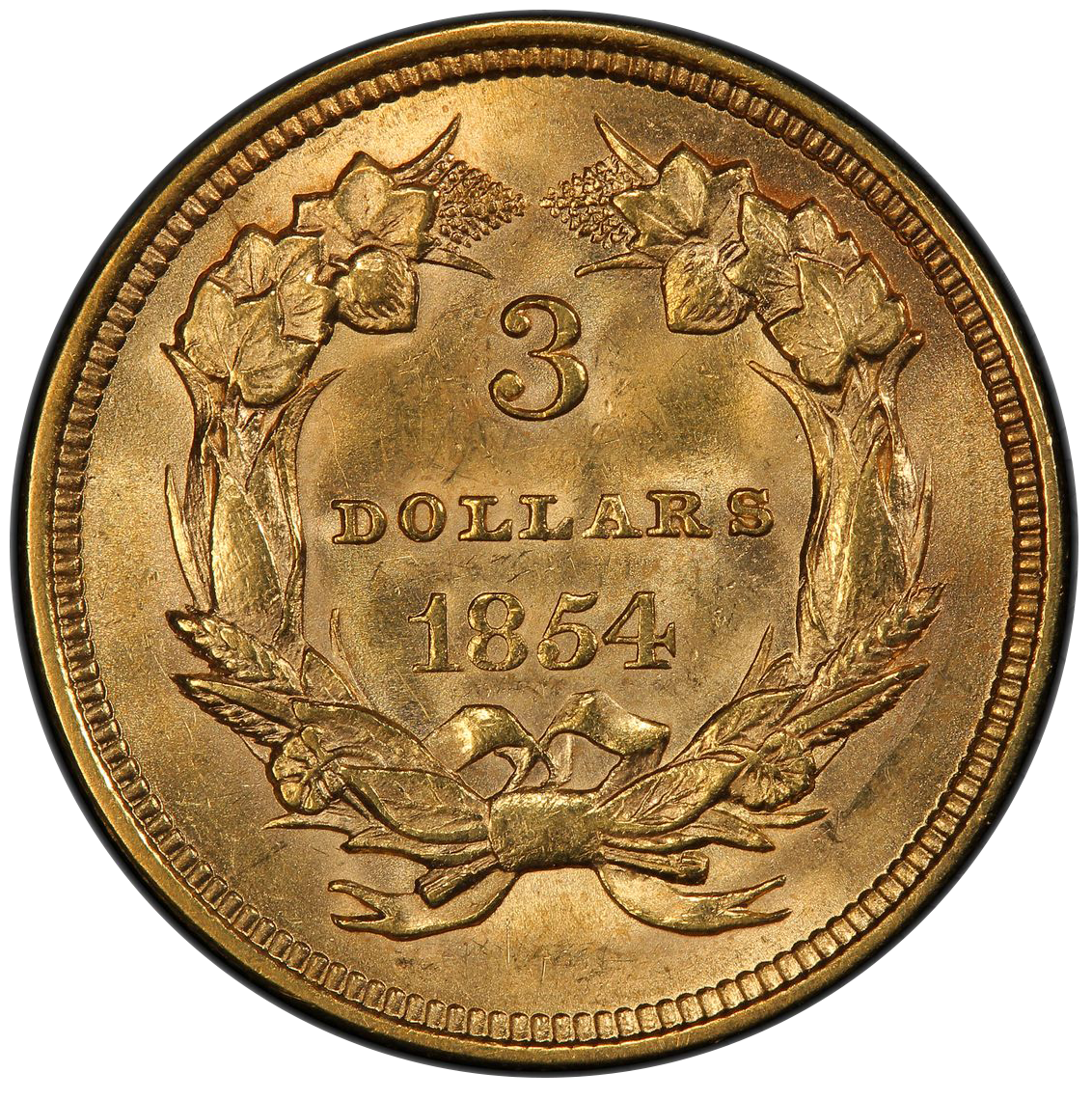 1854 $3 Indian Princess MS62 PCGS CAC EX STAR CITY REVERSE