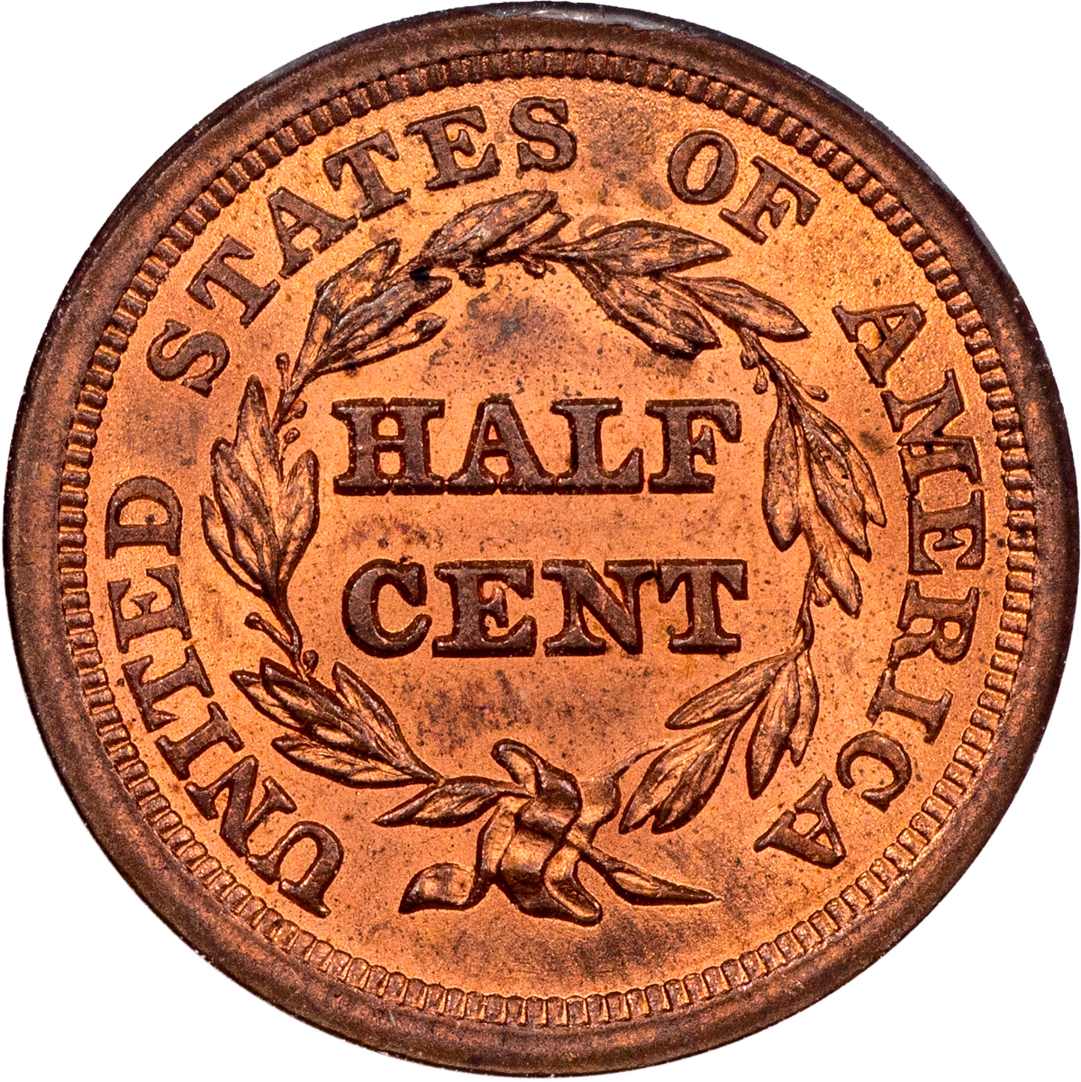 1854 Braided Hair Half Cent 1/2C MS64 RD OH NGC CAC Reverse