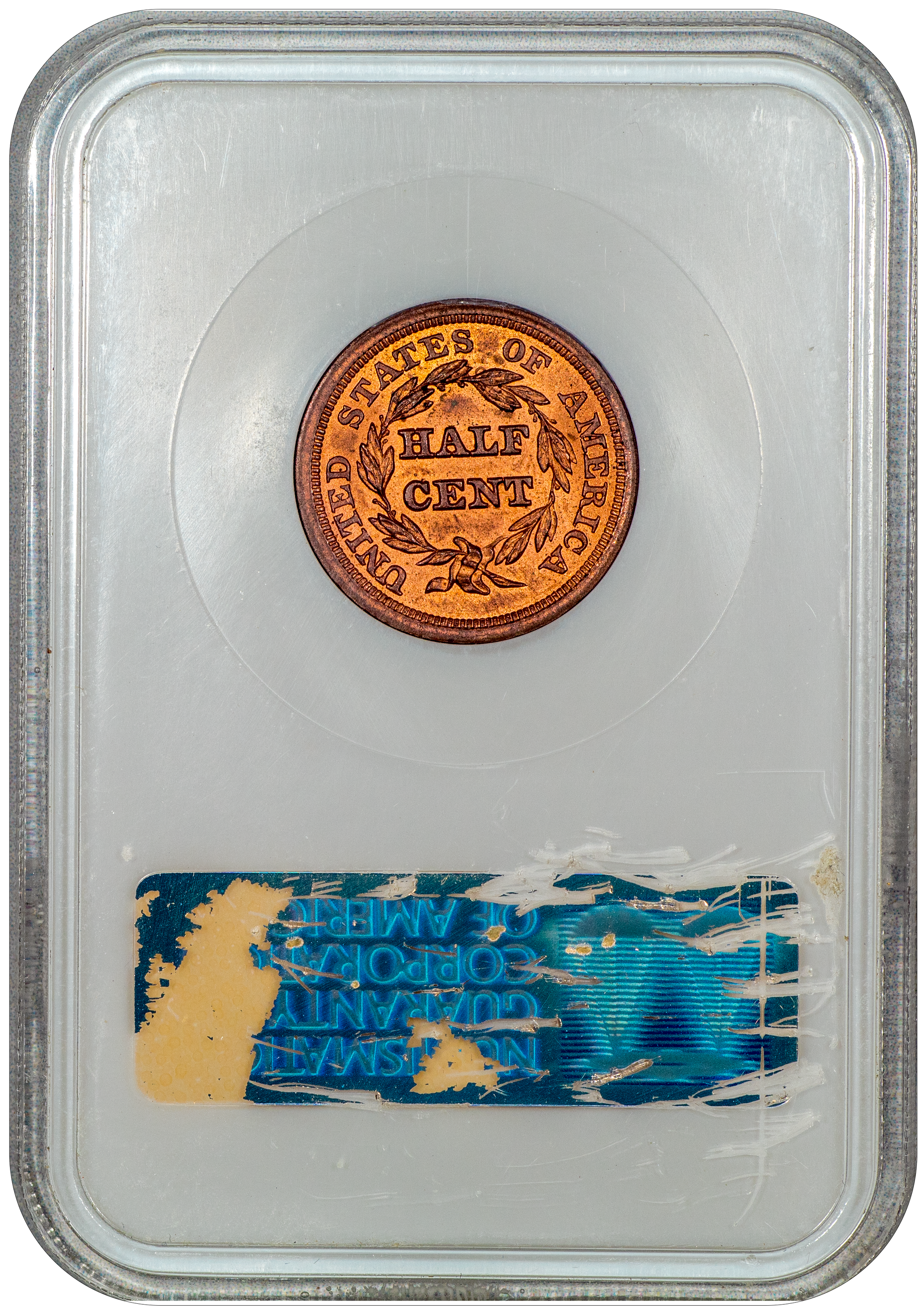 1854 Braided Hair Half Cent 1/2C MS64 RD OH NGC CAC Reverse Holder