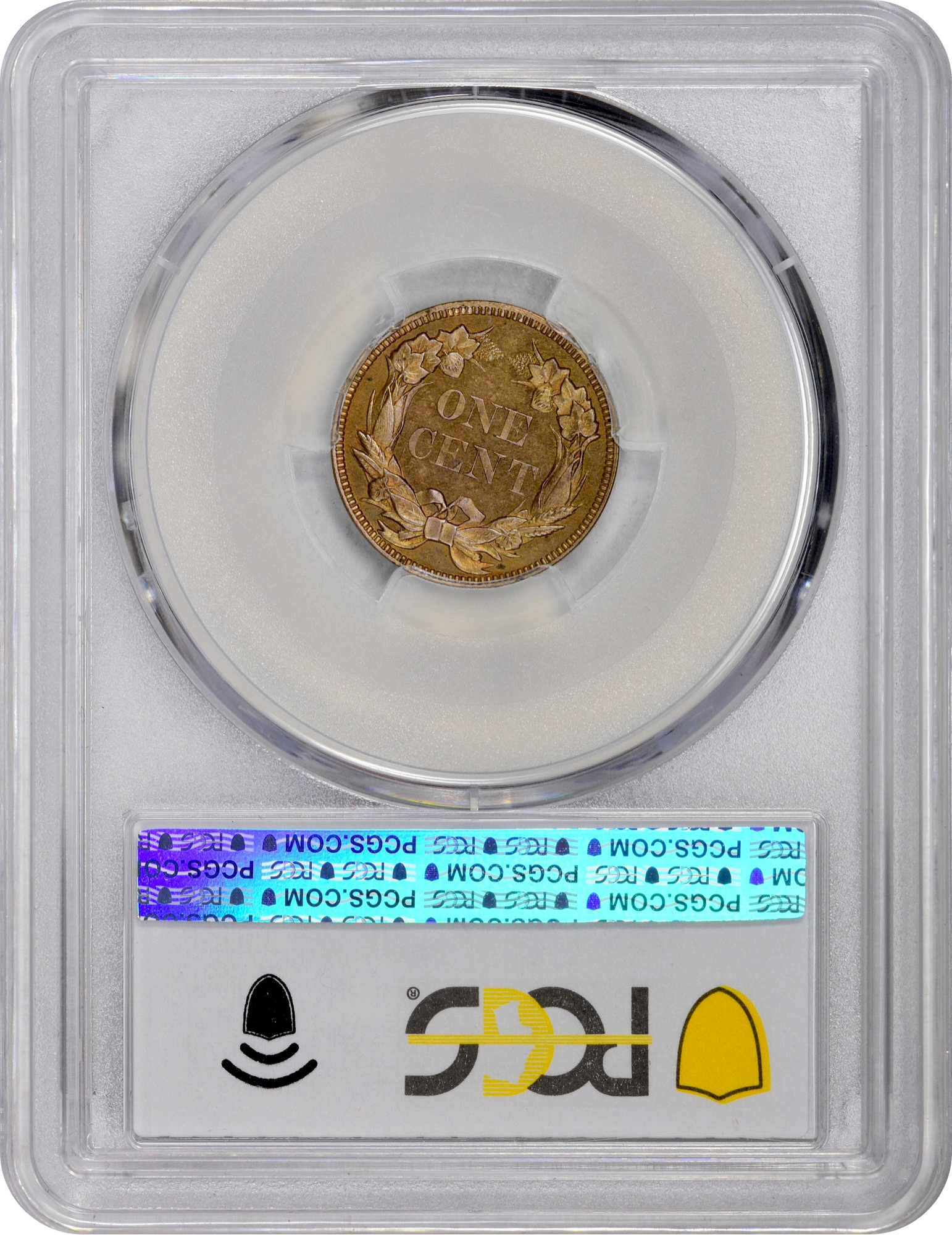 1856 1C FLYING EAGLE S-2 PR64 PCGS CAC EEPS 1C
