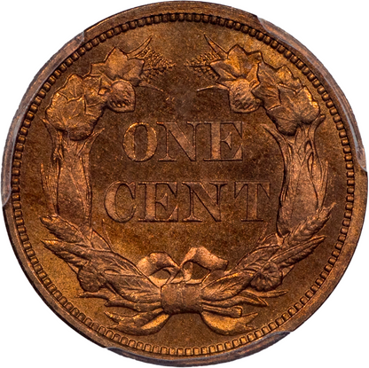 1856 1C FLYING EAGLE PR65 PCGS CAC REVERSE
