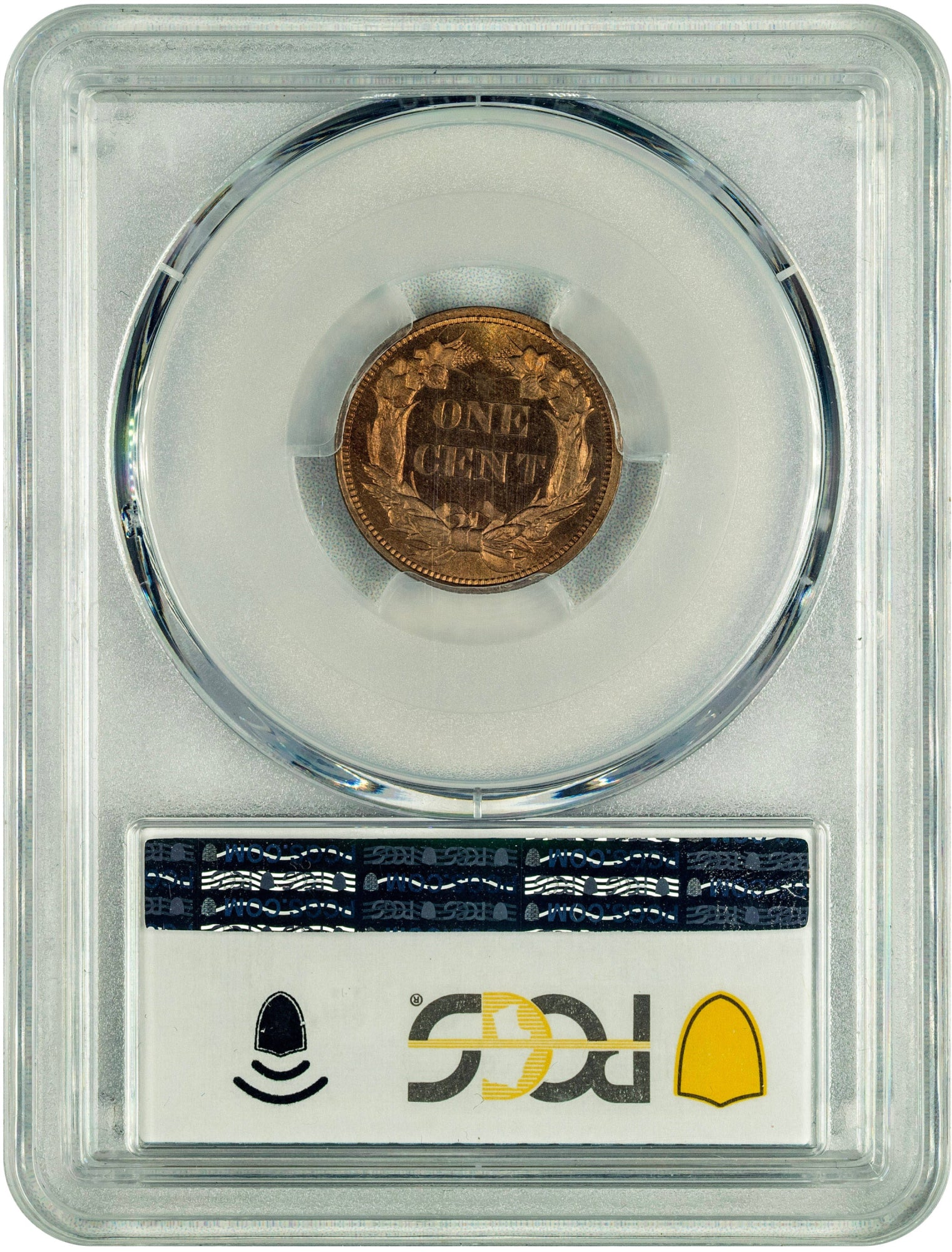 1856 1C FLYING EAGLE PR65 PCGS CAC REVERSE HOLDER