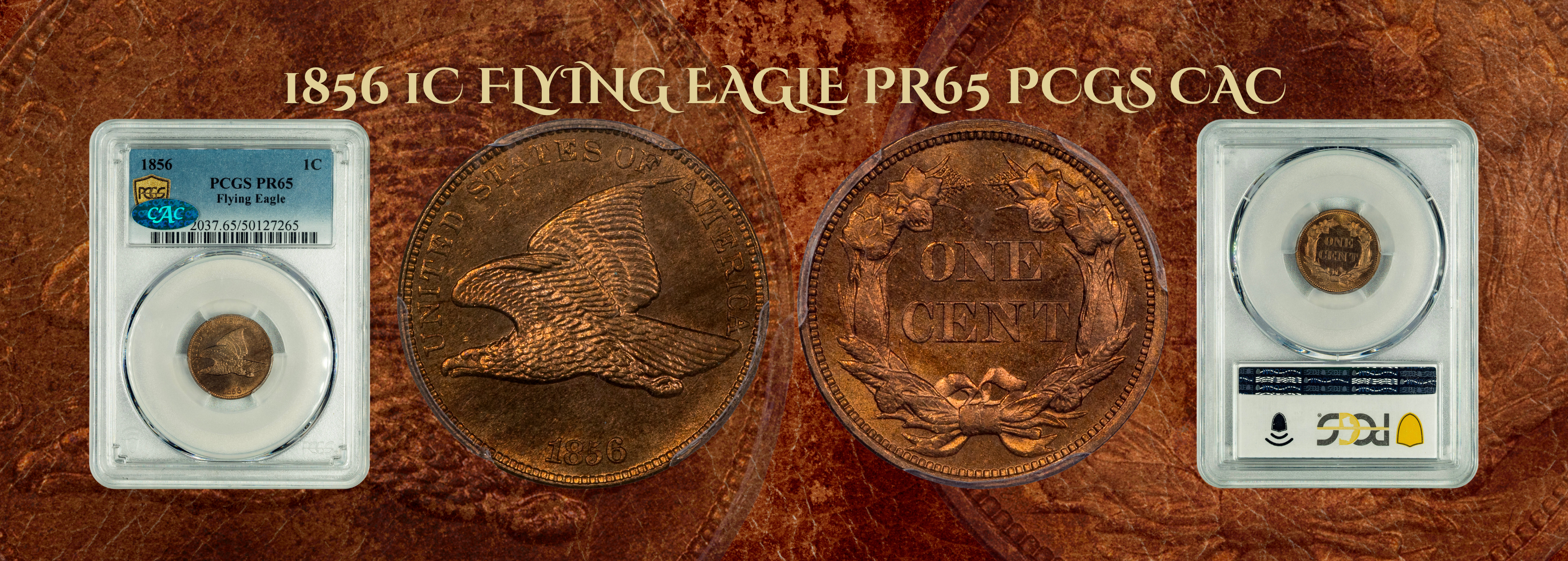 Paradime Coins — coin shop photo