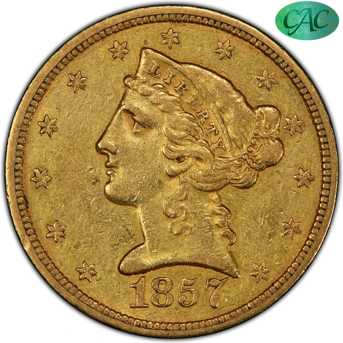 Buy 1857-O Liberty Half Eagle AU53+ PCGS CAC | Paradime Coins