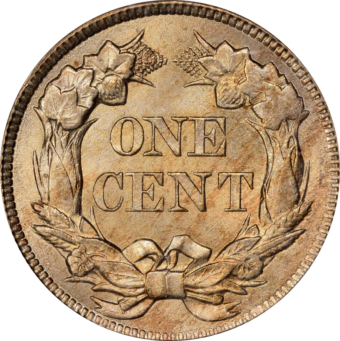 1857 1C FLYING EAGLE MS64 PCGS CAC EEPS REVERSE