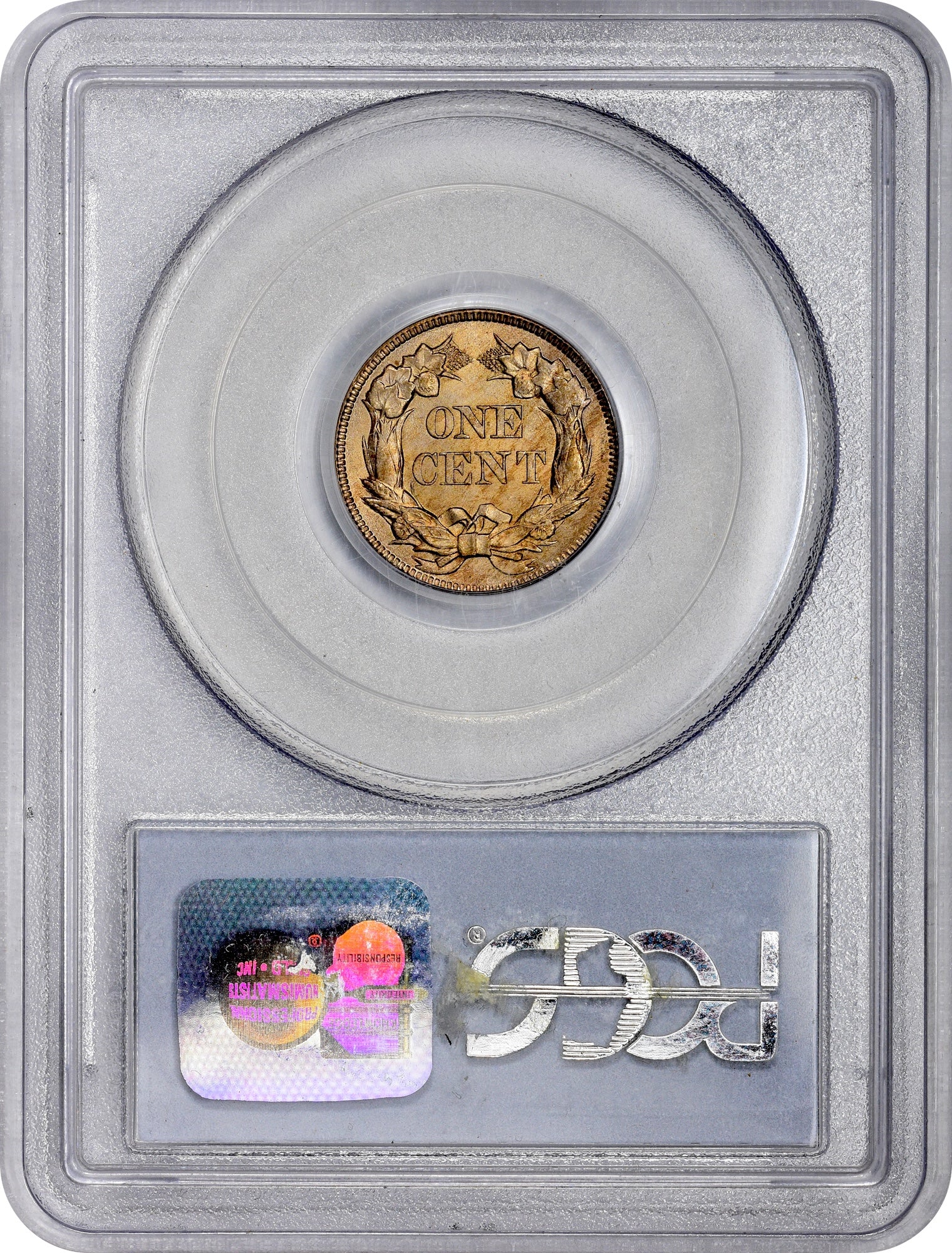 1857 1C FLYING EAGLE MS64 PCGS CAC EEPS REVERSE HOLDER