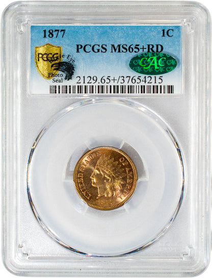 1877 1C MS65+ RD PCGS CAC EEPS 1C