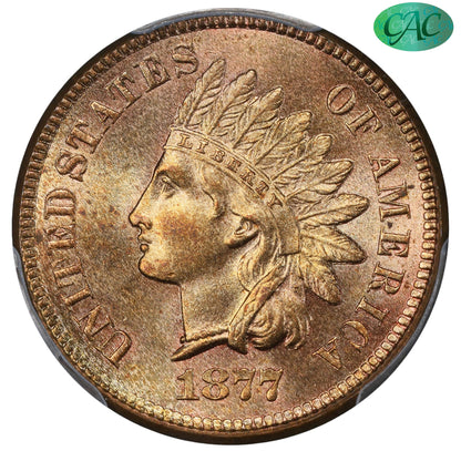 1877 1C MS65+ RD PCGS CAC EEPS 1C