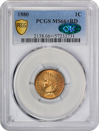 1880 1C MS66 + RD PCGS CAC HOLDER WITH GREEN CAC STICKER