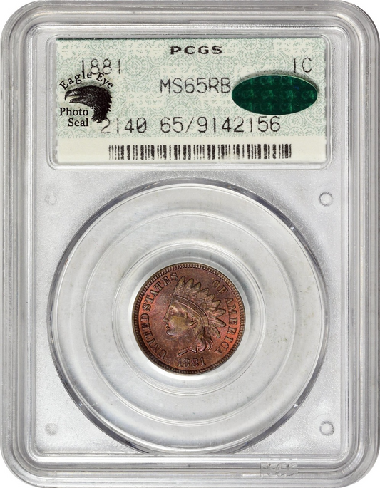 1881 1C MS65 RB DOILY OGH PCGS CAC EEPS - Paradime Coins | PCGS NGC CACG CAC Rare US Numismatic Coins For Sale