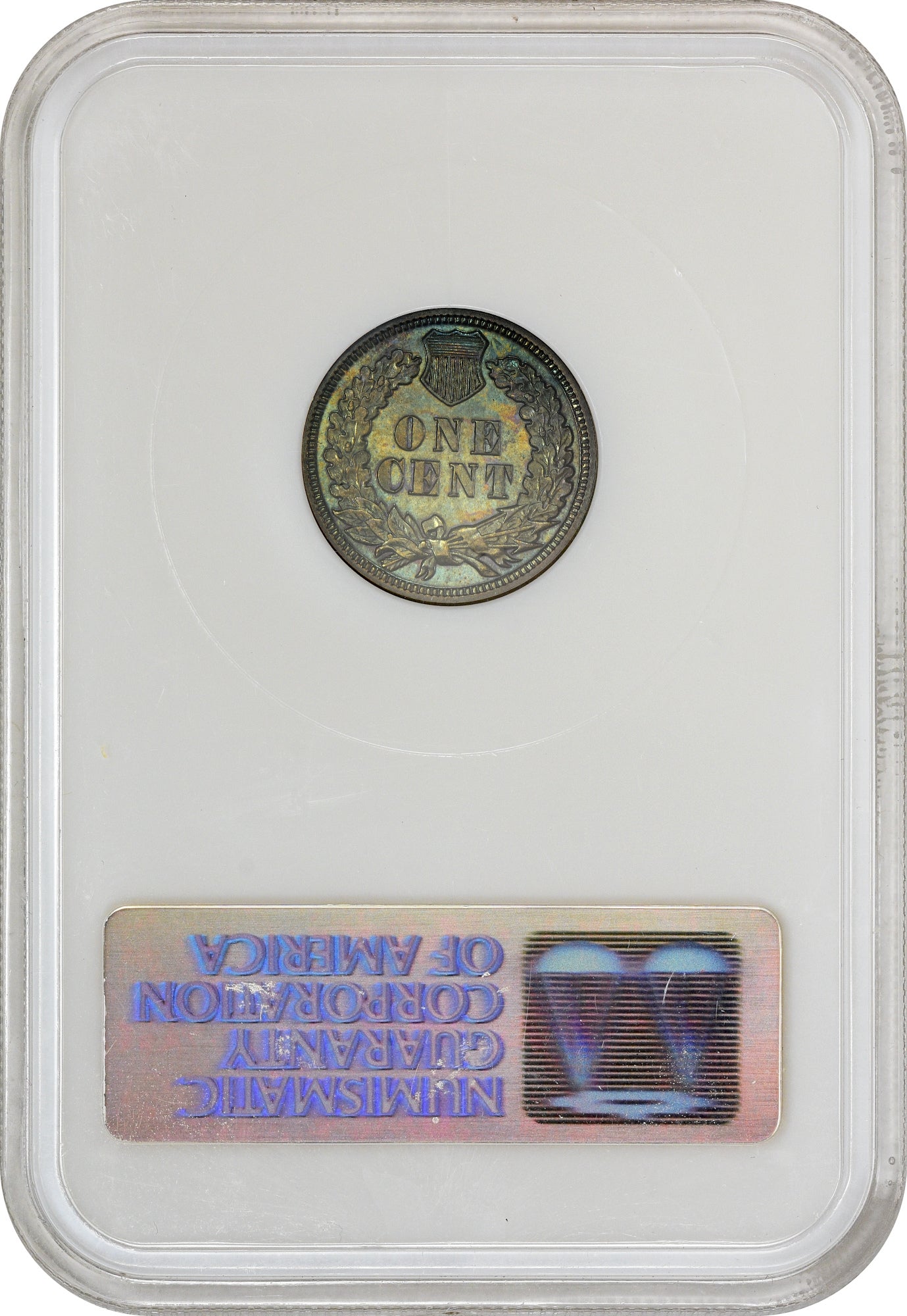 1902 1C PR66 BN NGC OH CAC EEPS