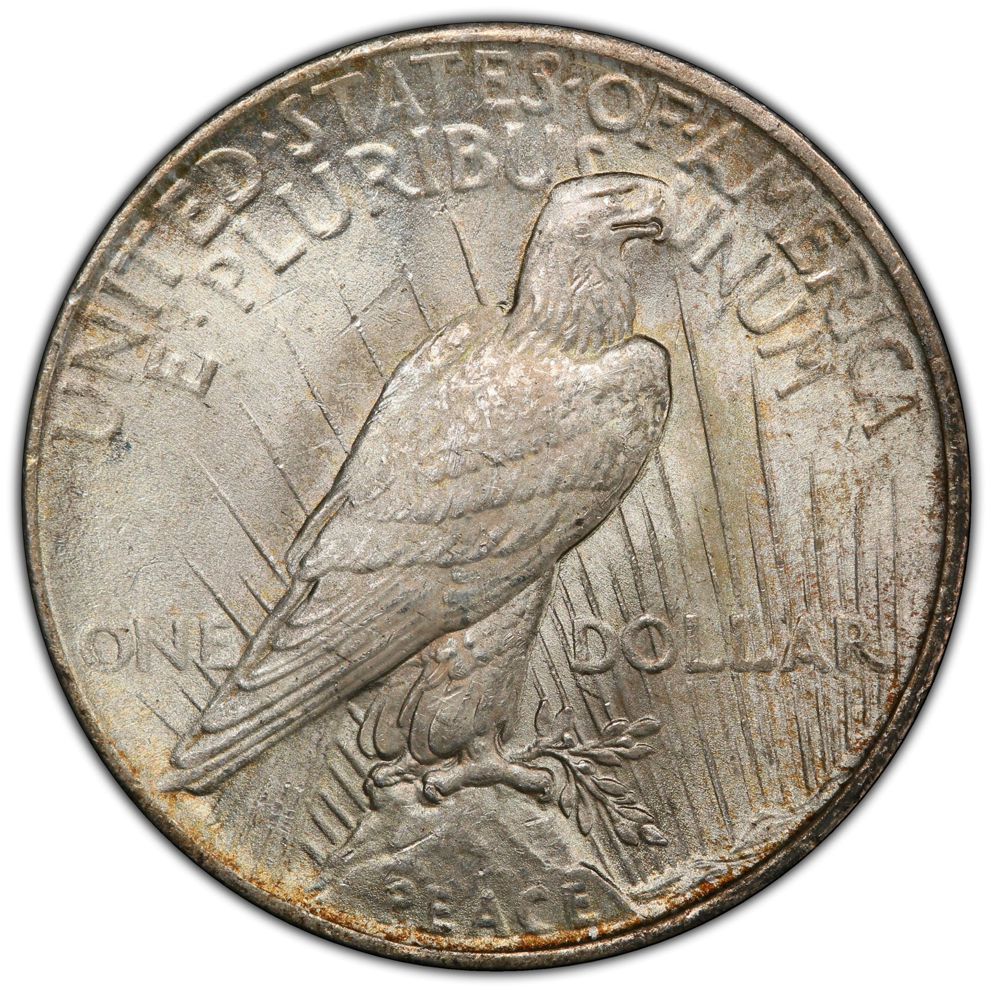 1925 $1 Ms64 + Pcgs Cac