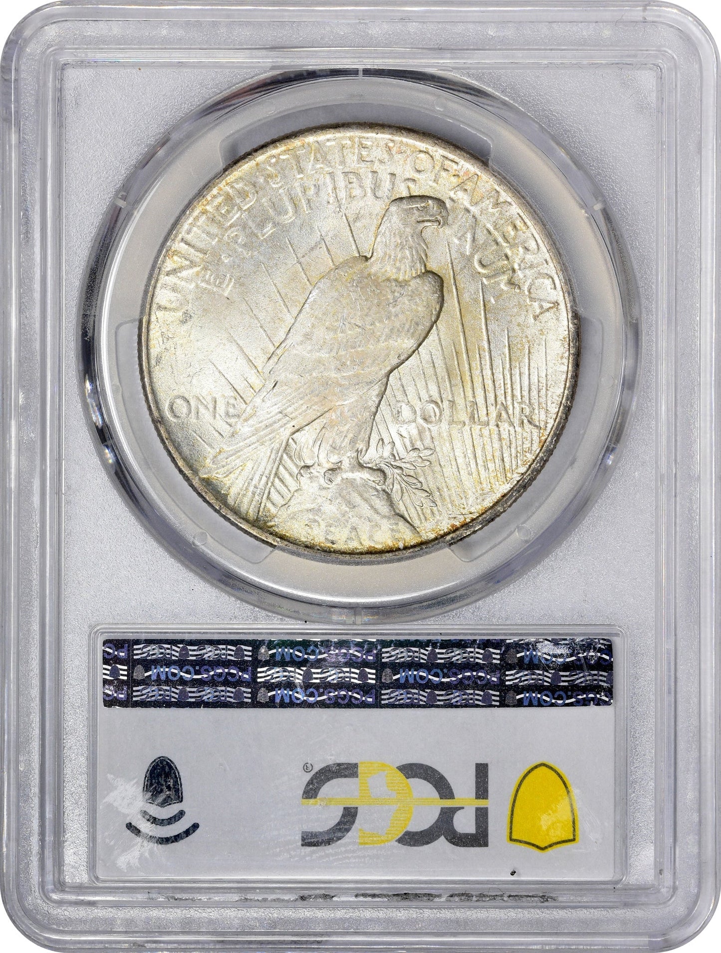 1925 $1 Ms64 + Pcgs Cac