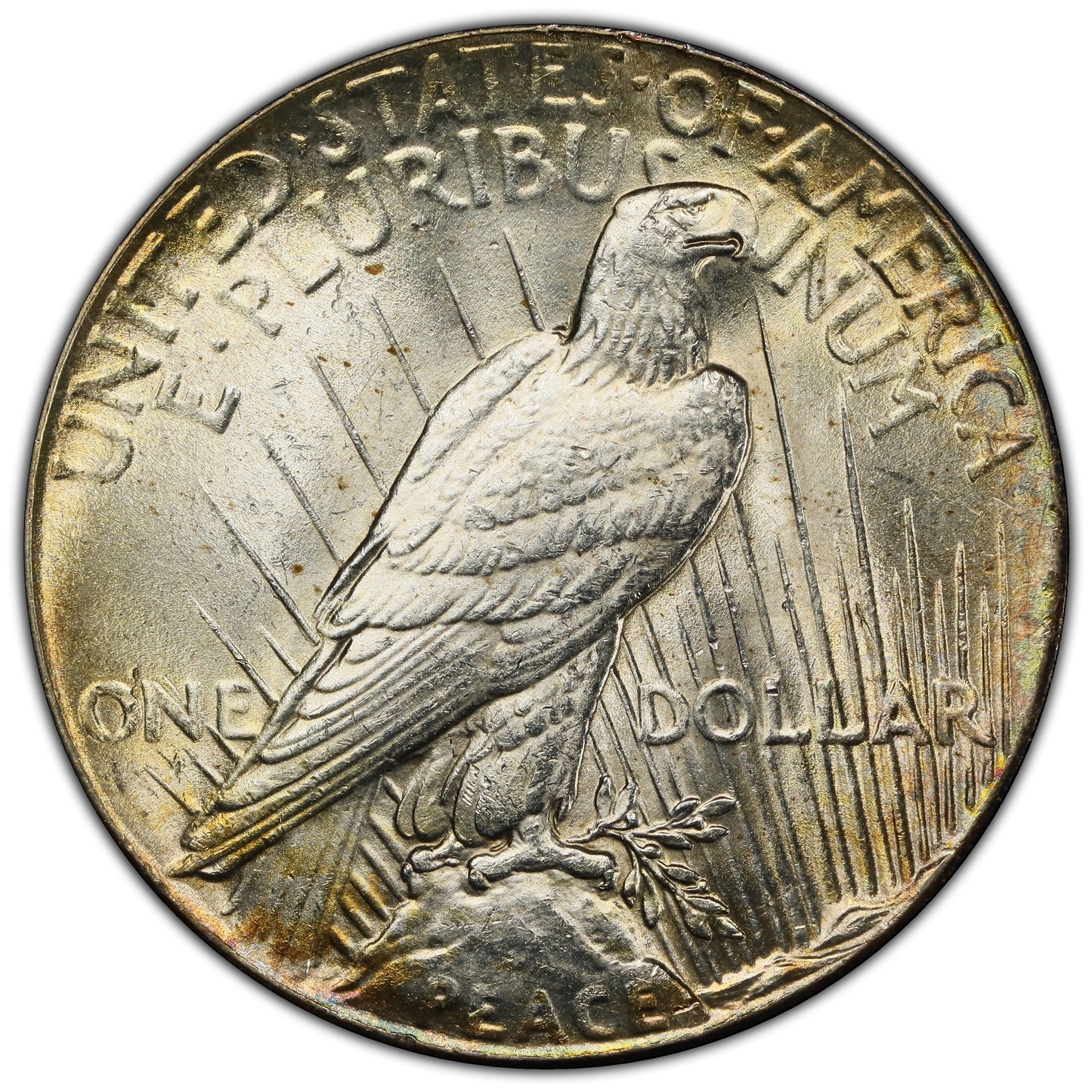 1928 $1 MS63+ PCGS REVERSE