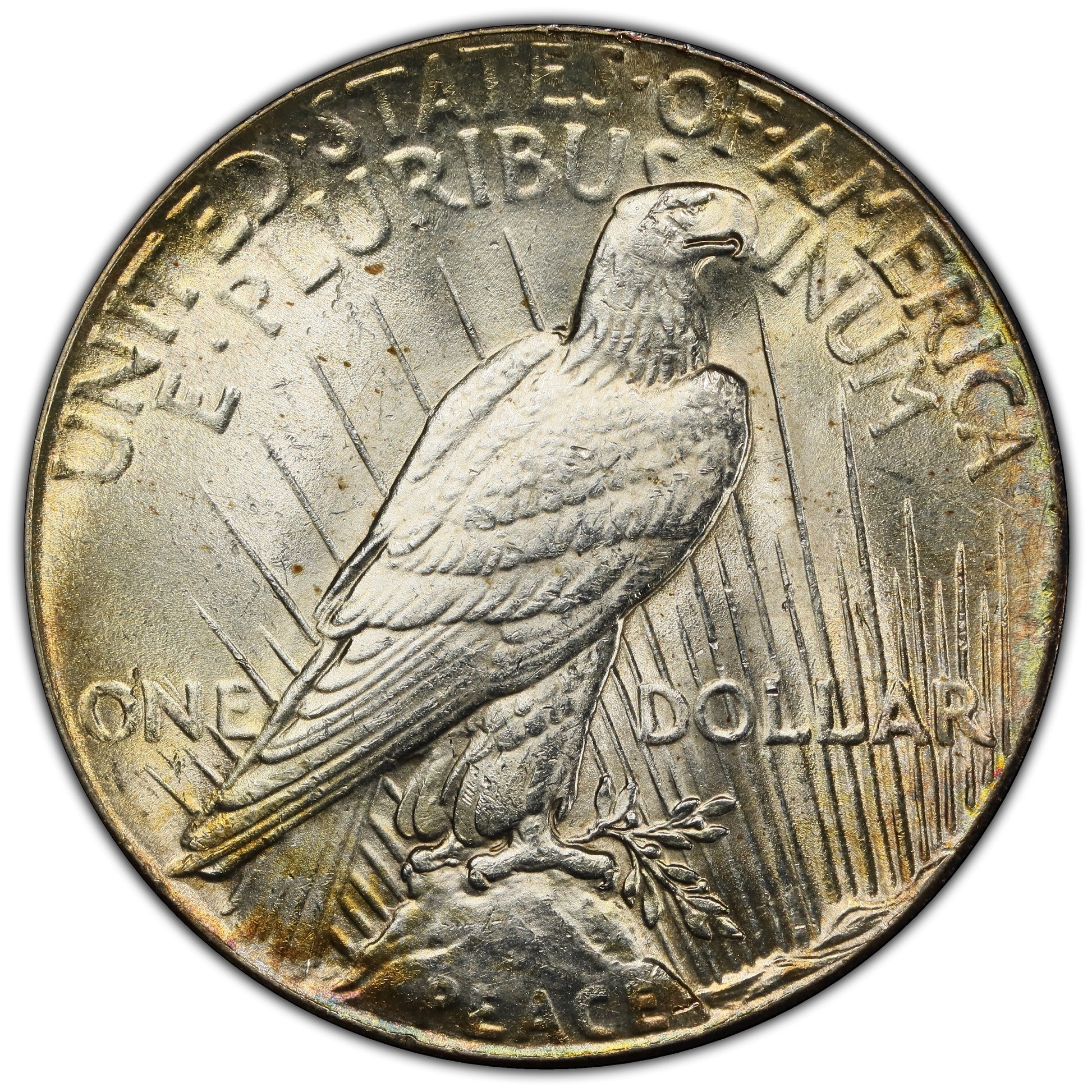 1928 $1 MS63+ PCGS REVERSE