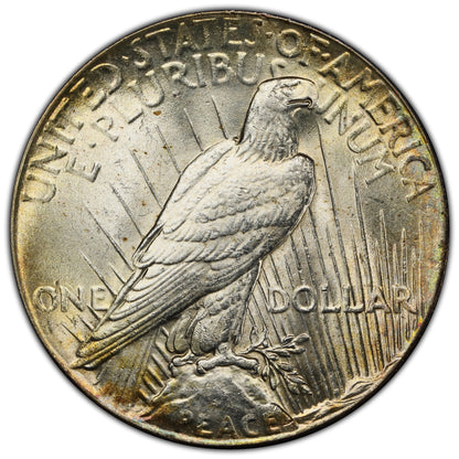 1928 $1 MS63+ PCGS REVERSE