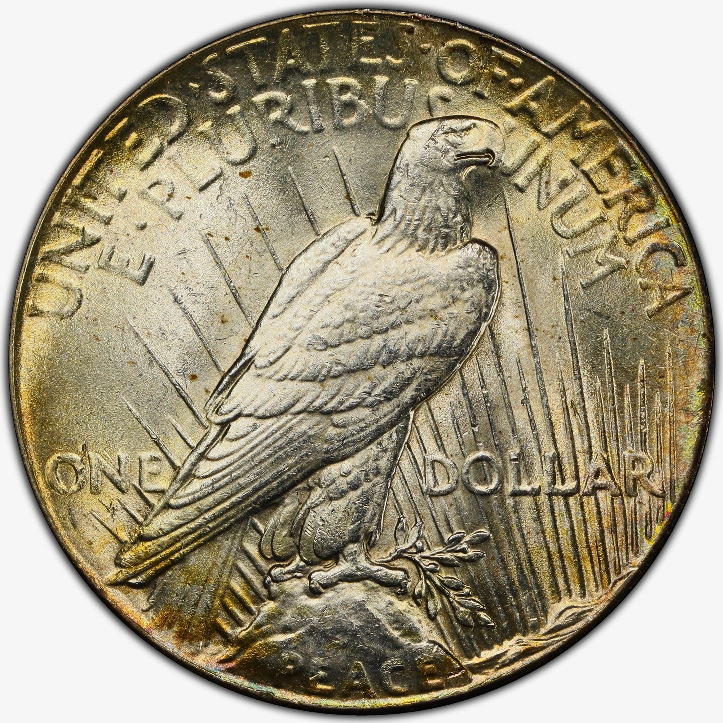 1928 Peace Dollar $1 MS62 NGC Reverse