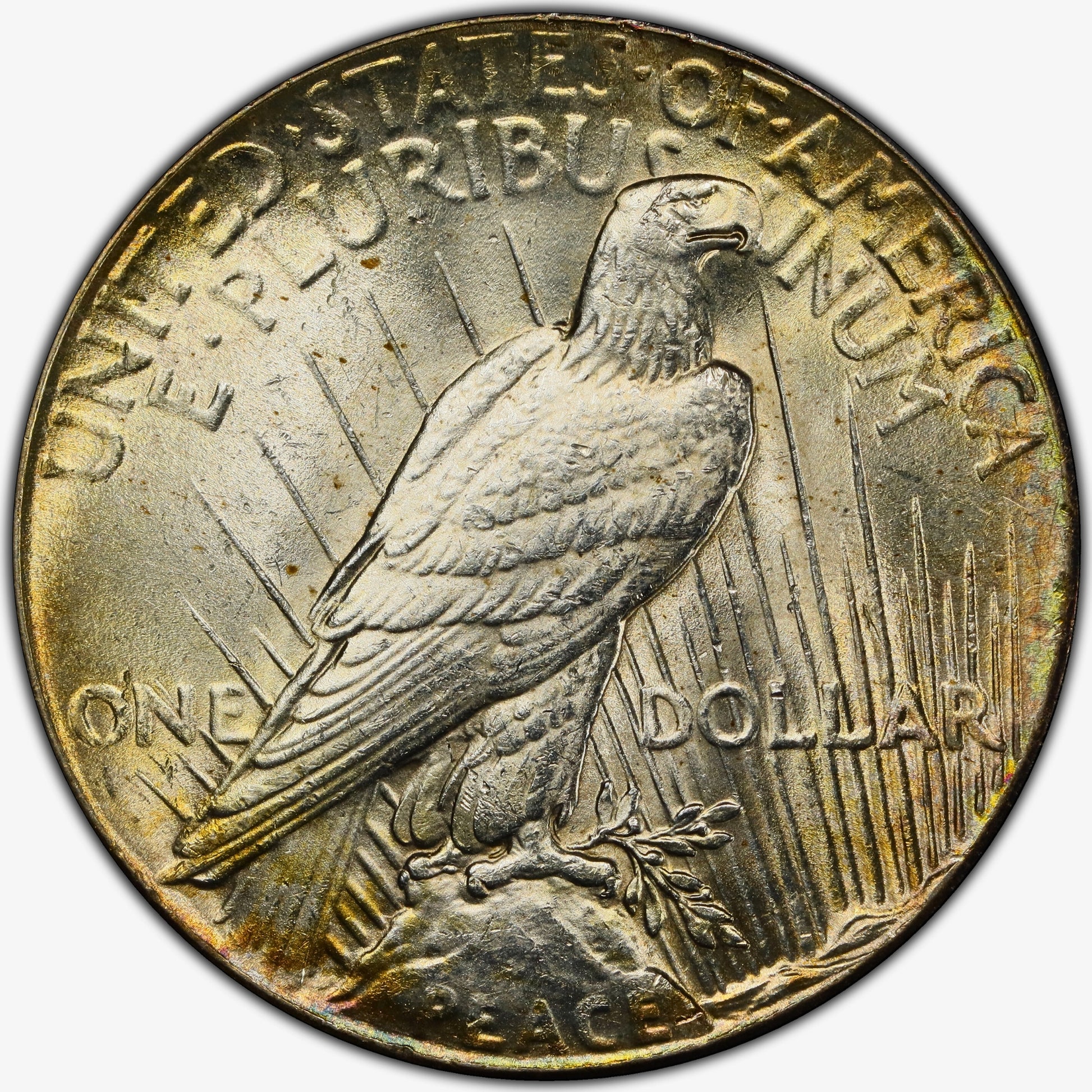 1928 Peace Dollar $1 MS62 NGC Reverse